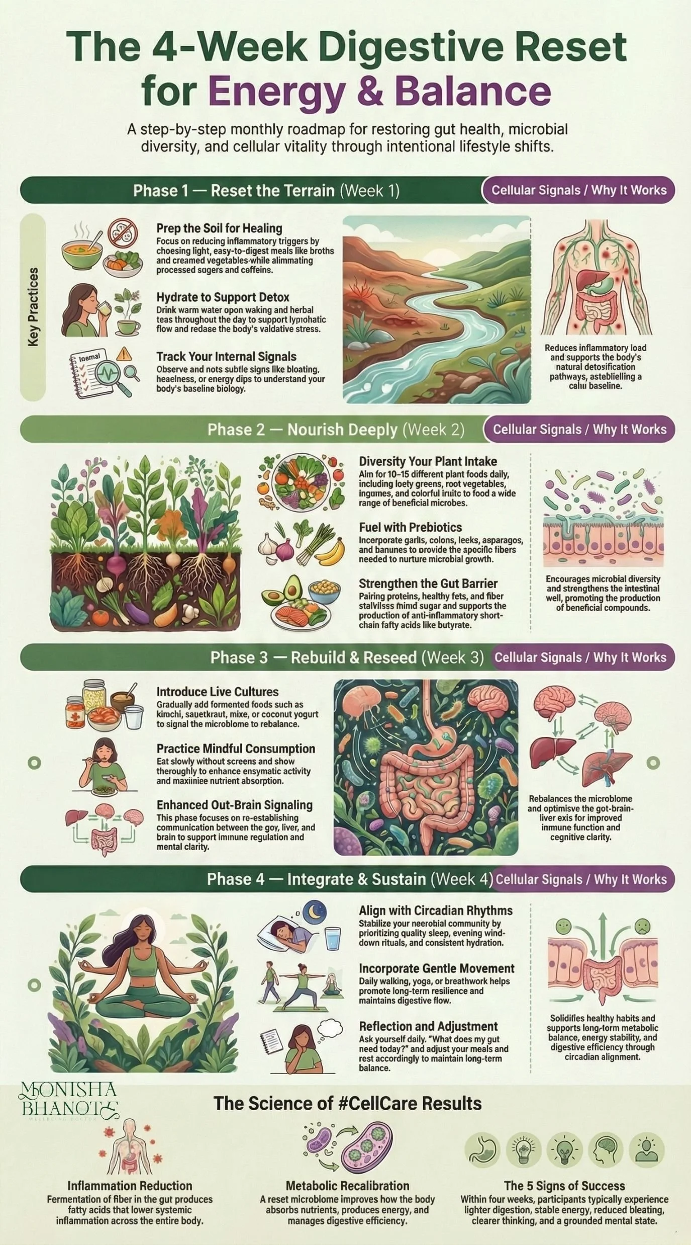 The 4-Week Digestive Reset for Energy and Balance