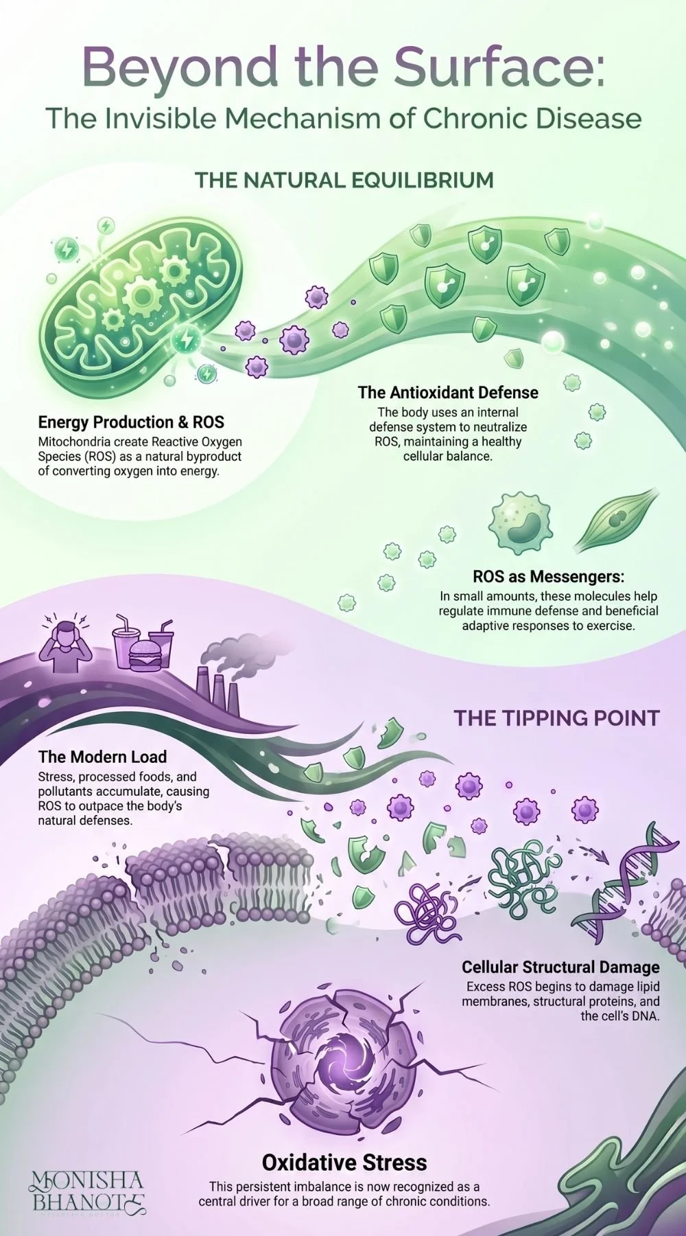 Infographic about the Invisible Mechanism of Chronic Disease