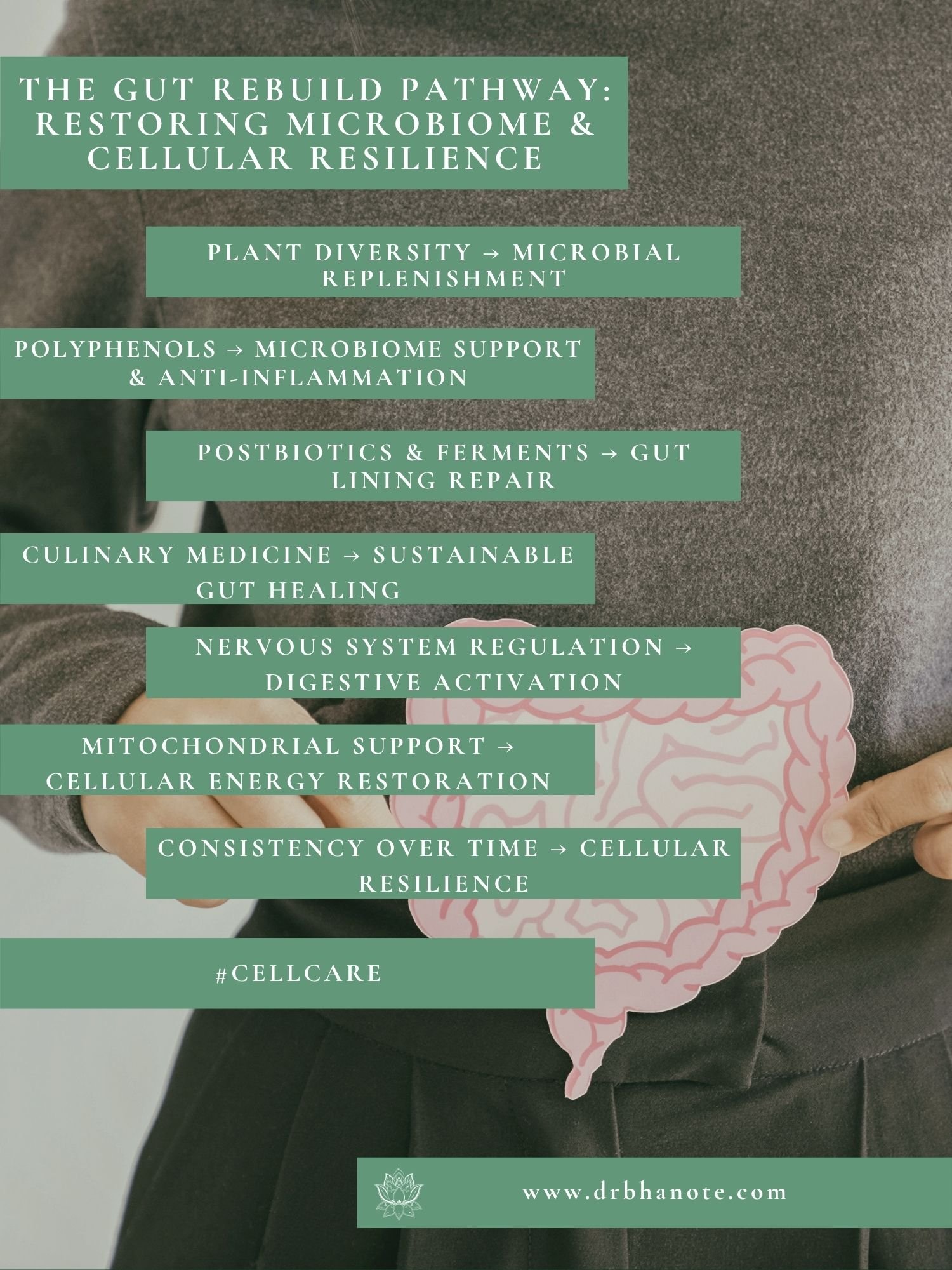 Infographic by Dr. Monisha Bhanote outlining the gut rebuild pathway, showing how plant diversity, polyphenols, postbiotics, nervous system support, and mitochondrial health restore microbiome balance and cellular resilience