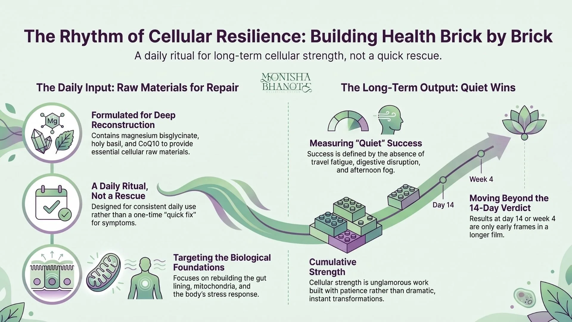 The Rhythm of Cellular Resilience by Dr. Monisha Bhanote