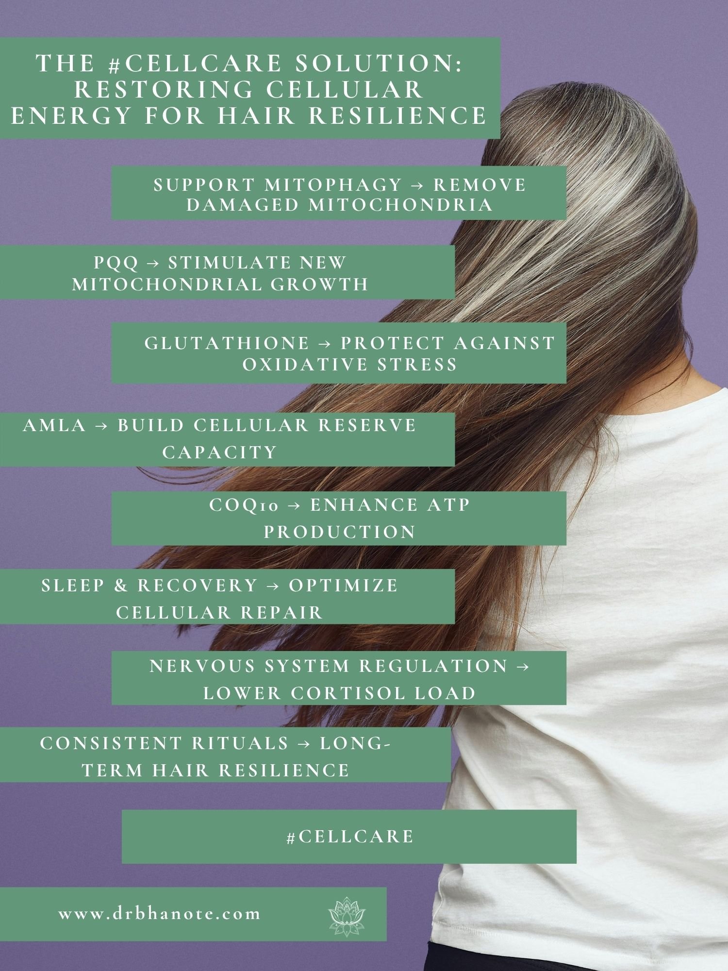 Dr. Monisha Bhanote infographic on supporting hair growth through mitochondrial health, cellular energy, and #CellCare strategies.