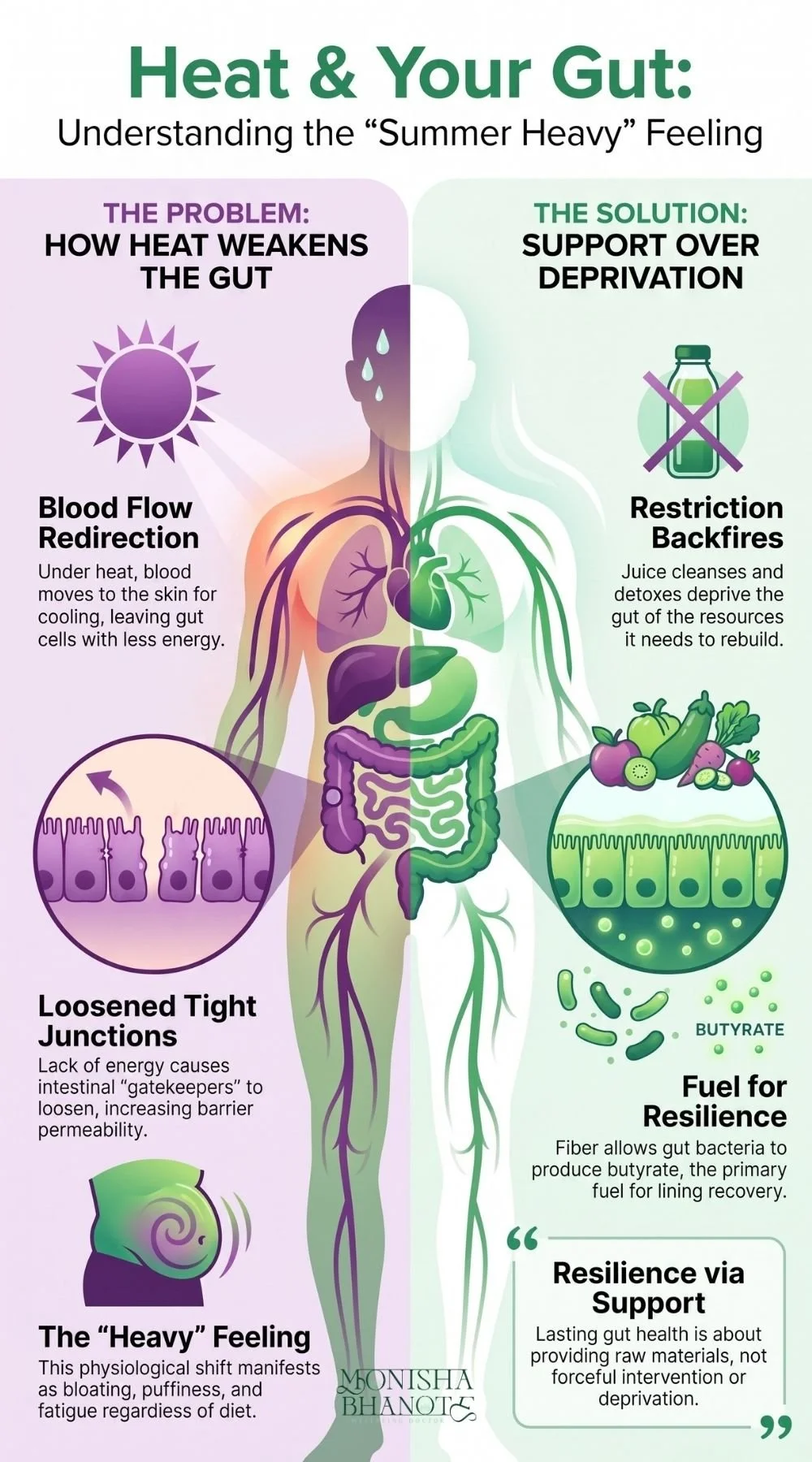 Dr. Monisha Bhanote infographic about  understanding the connection between heat and your gut