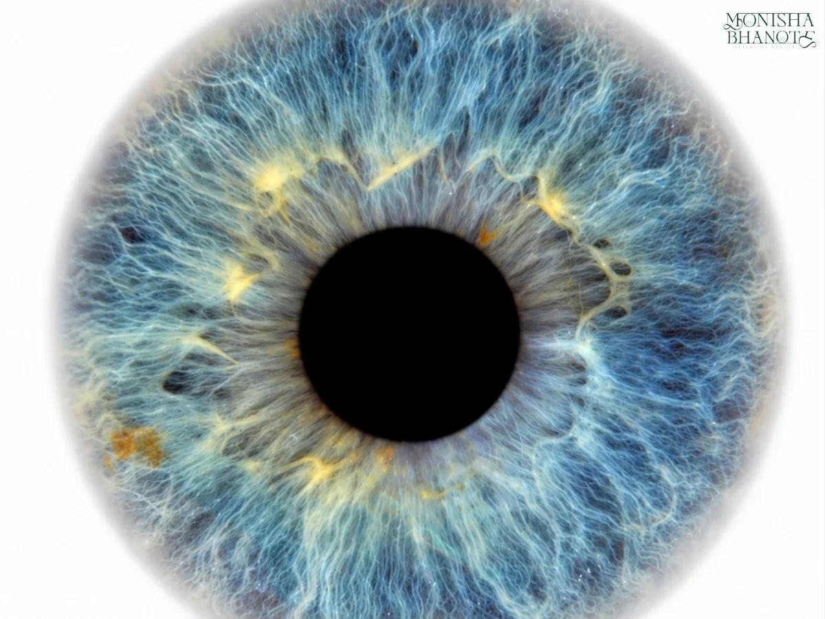 Conversation Between Your Gut and Your Eyes | Dr. Monisha Bhanote