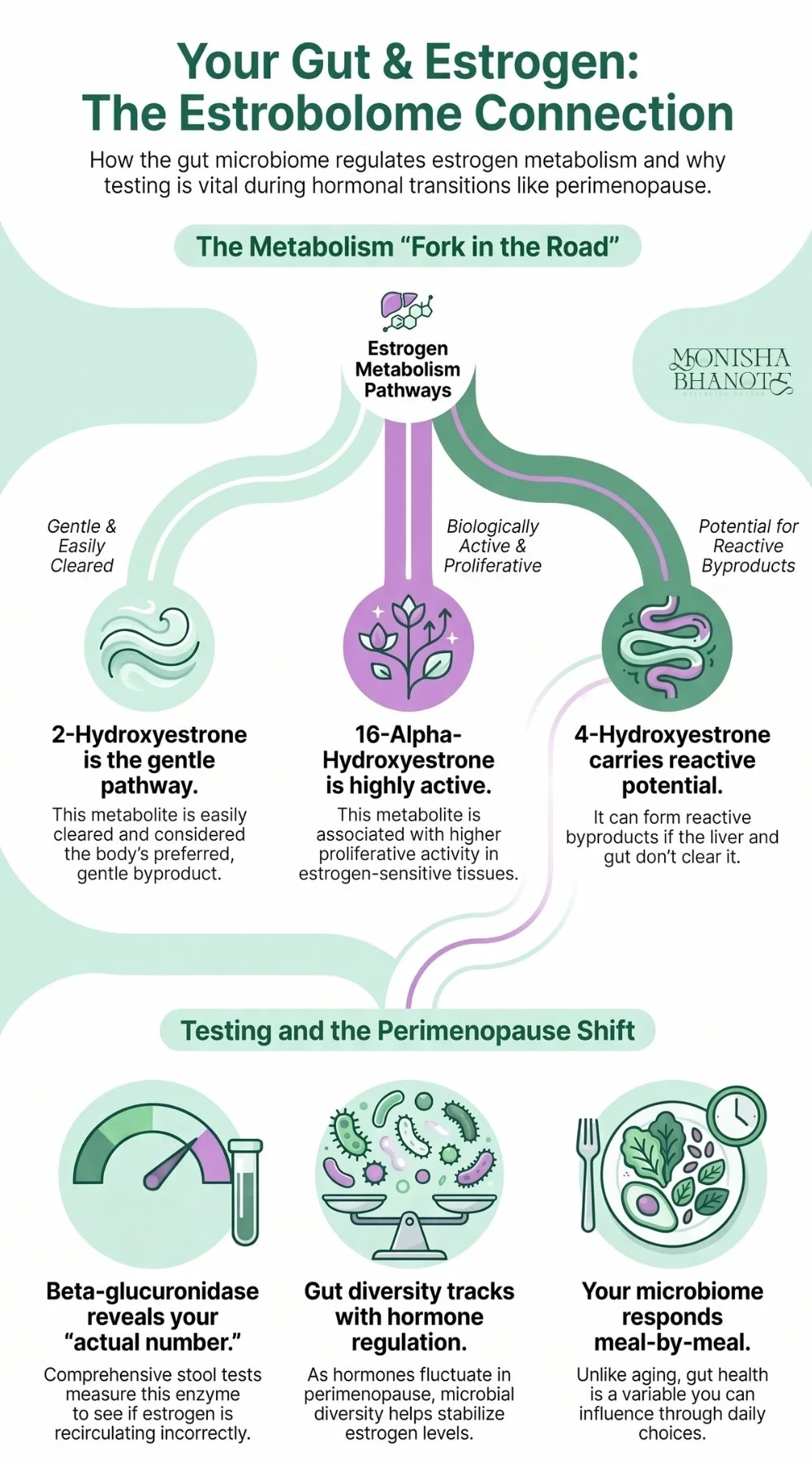 The Estrobolome Connection | Dr. Monisha Bhanote