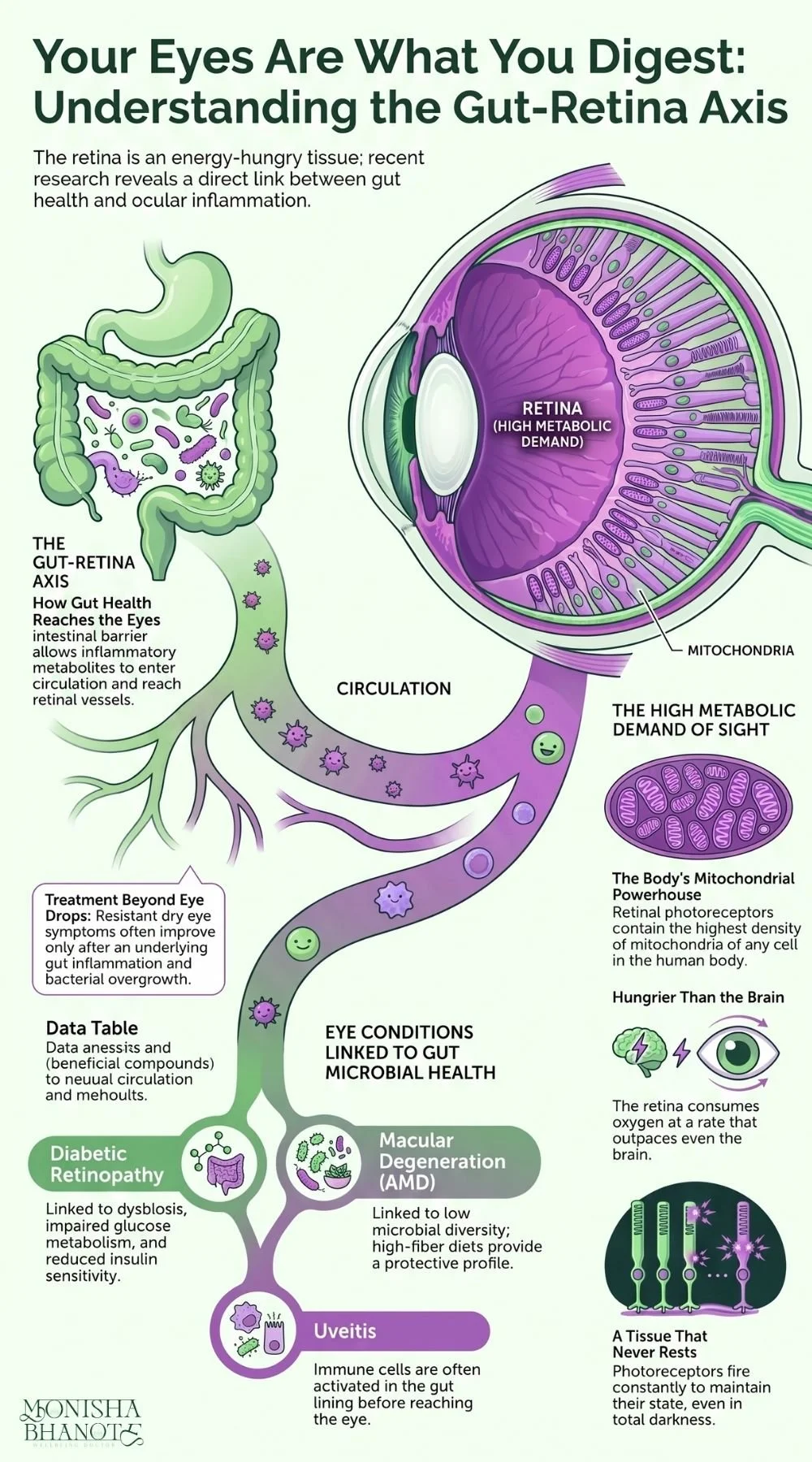 Understanding the Gut- Retina Axis | Dr. Monisha Bhanote