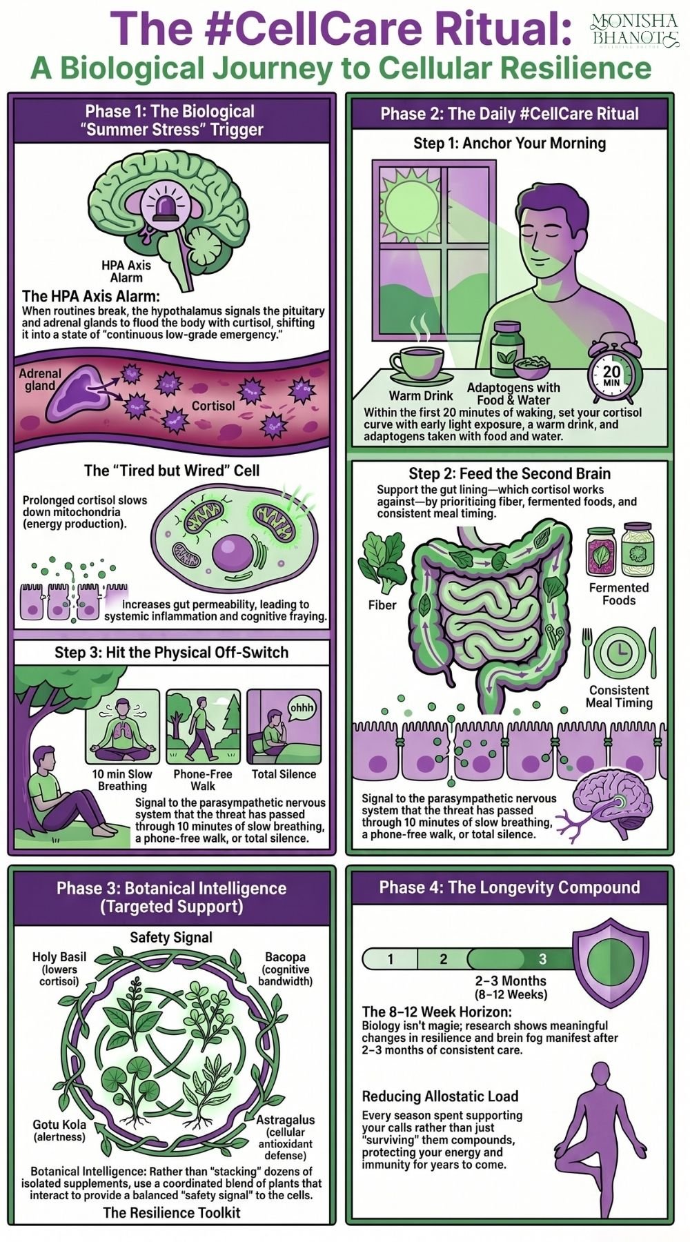 : Dr. Monisha Bhanote’s #CellCare infographic showing how daily rituals, botanical support, and nervous system regulation promote cellular resilience and longevity.