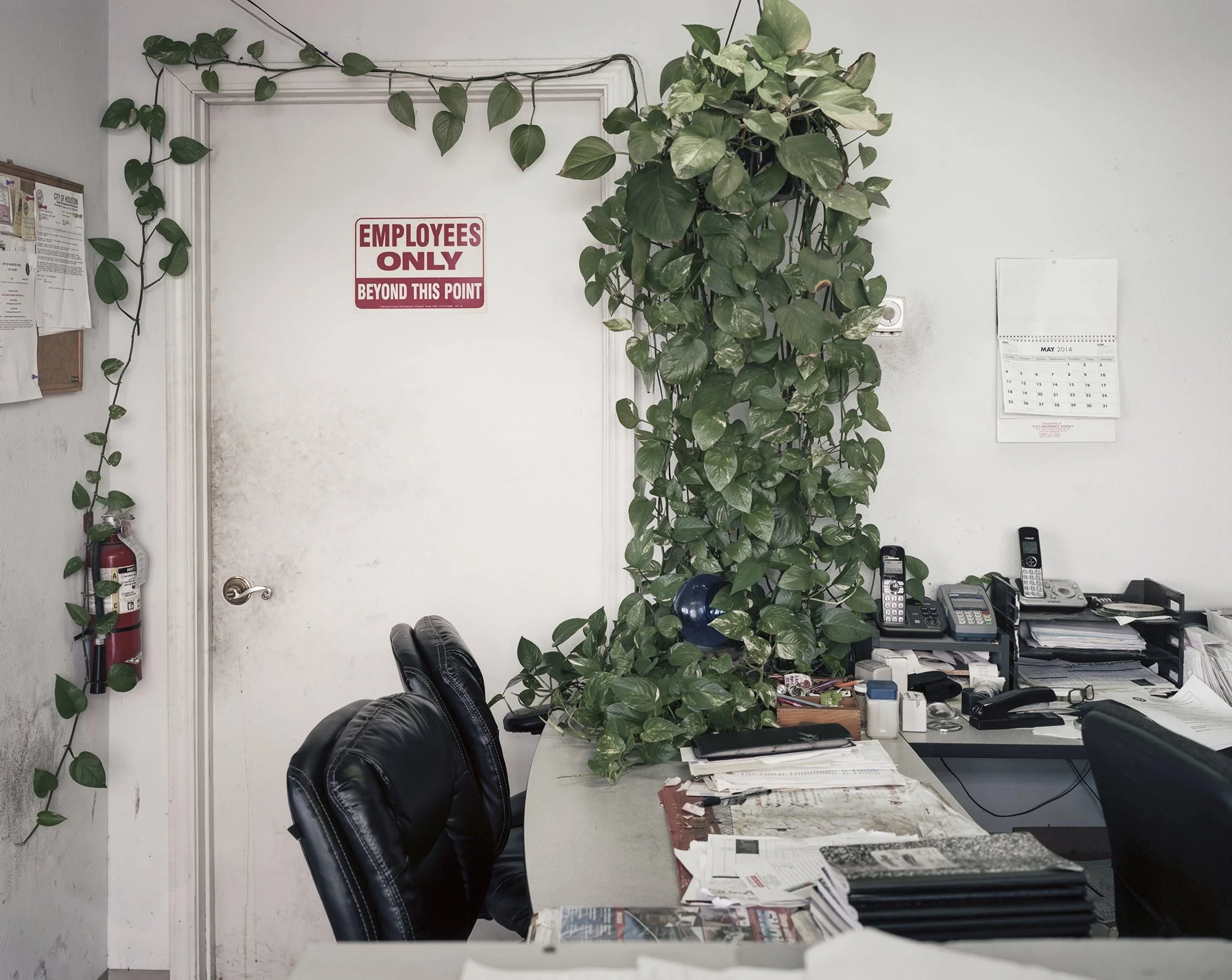 painter1 (2000px 72dpi).jpg