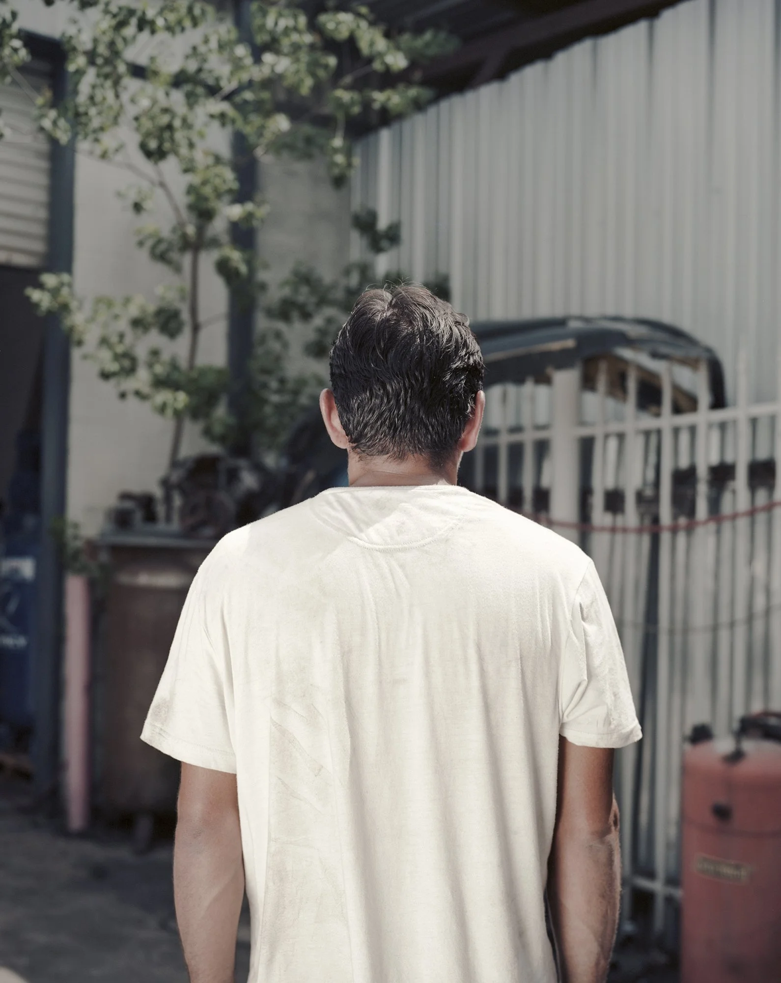 painter2 (2000px 72dpi).jpg