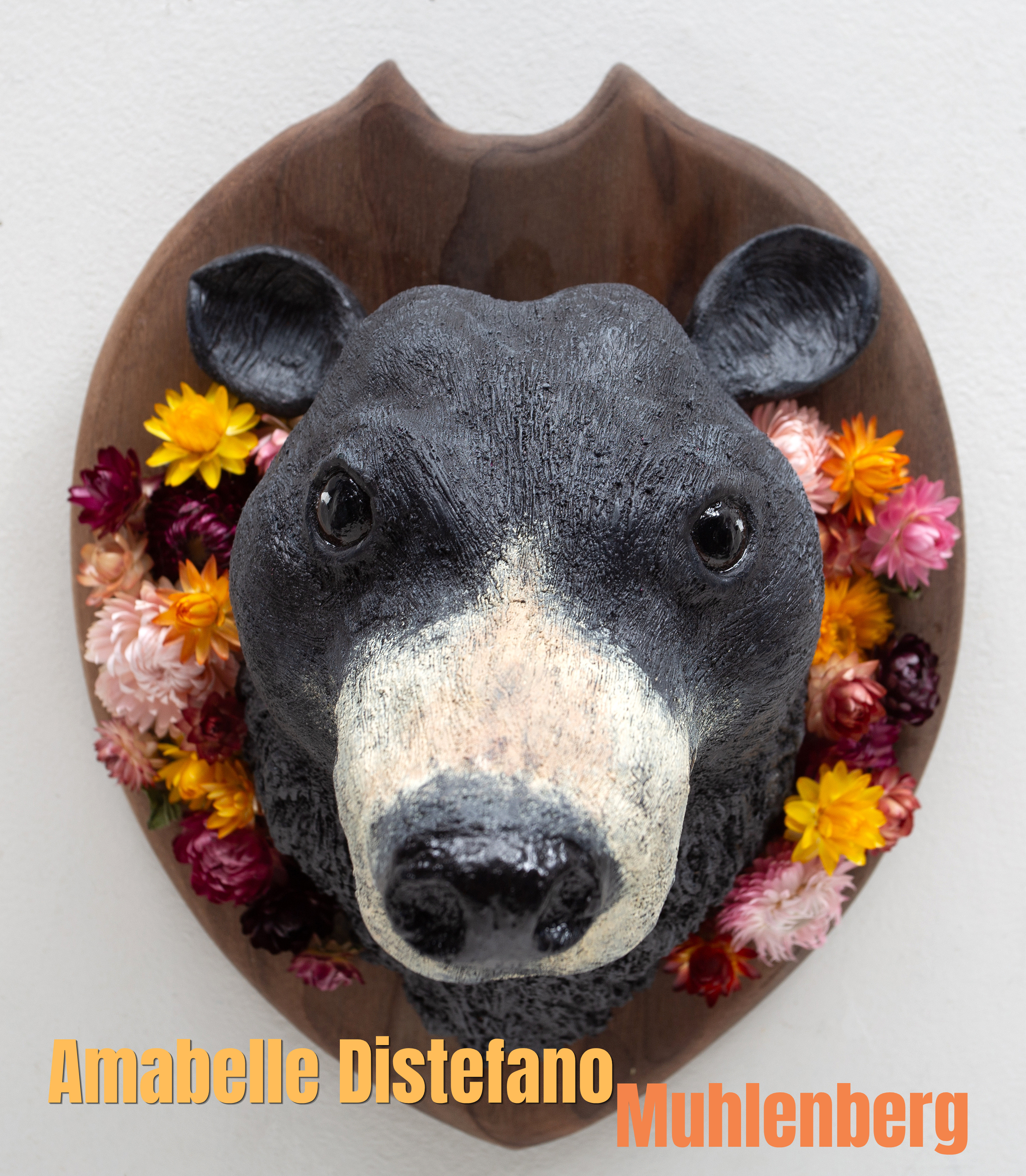 7_Amabelle Distefano - Muhlenberg.png