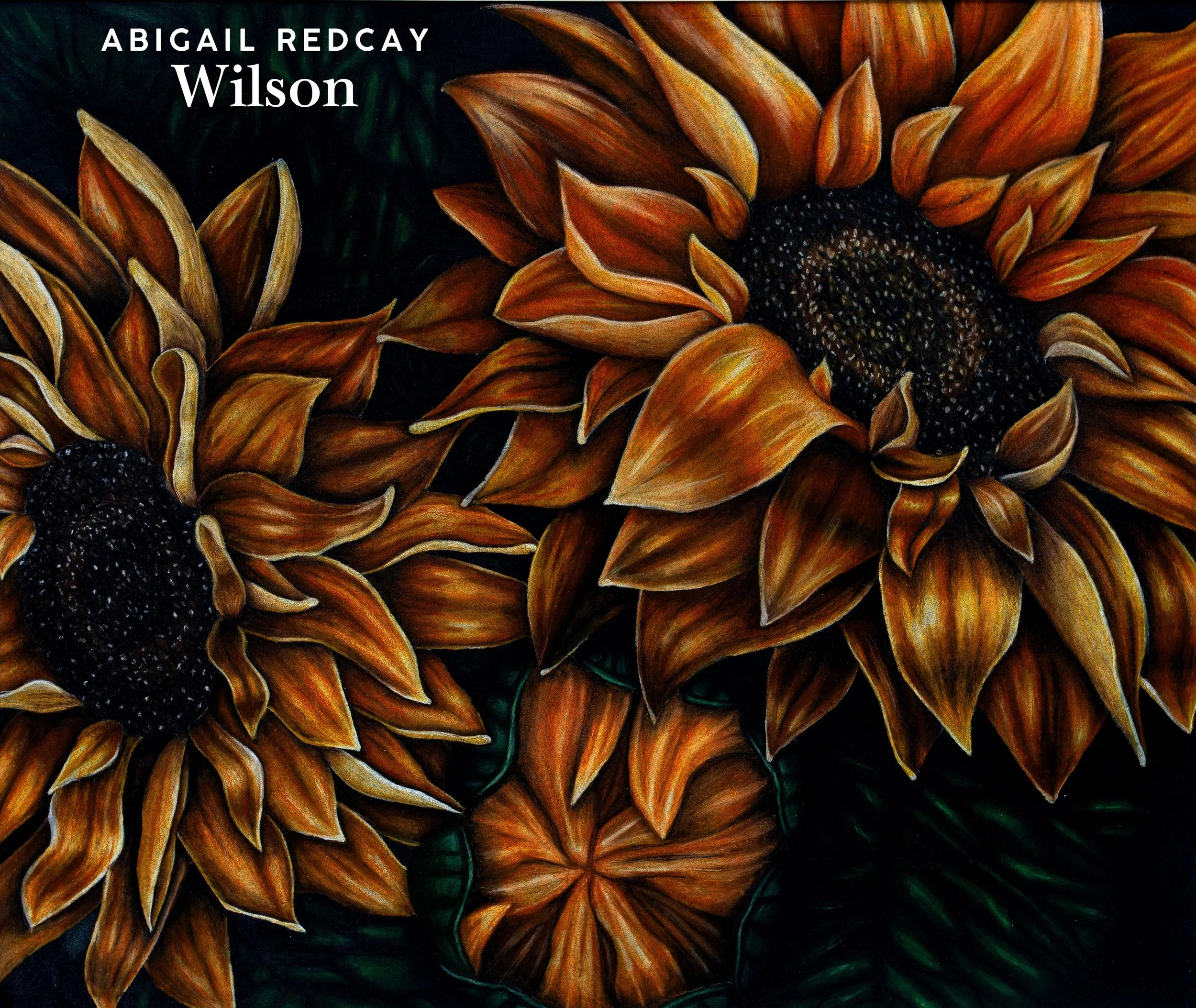 RESIZED_Abigail Redcay WI.jpg