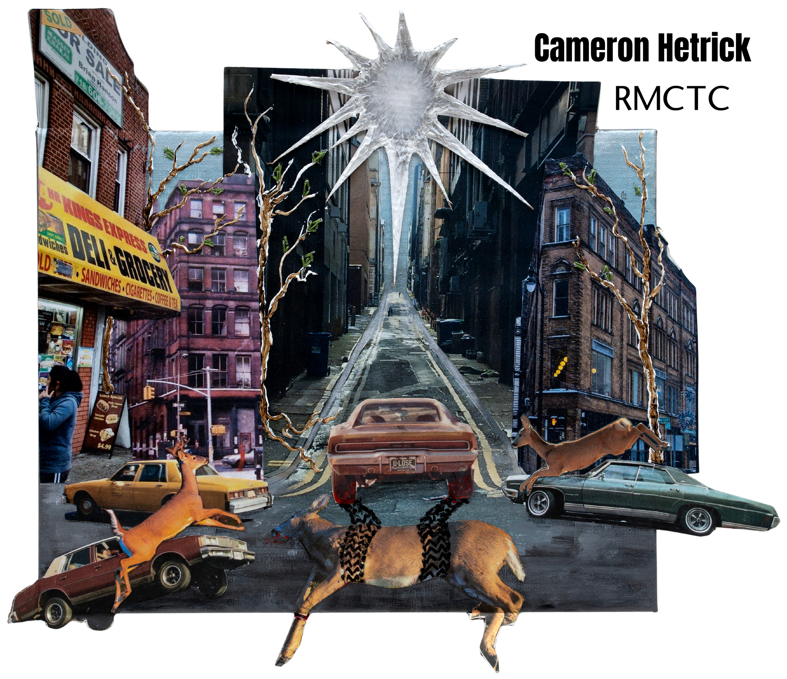 RESIZED_Cameron Hetrick RMCTC.png