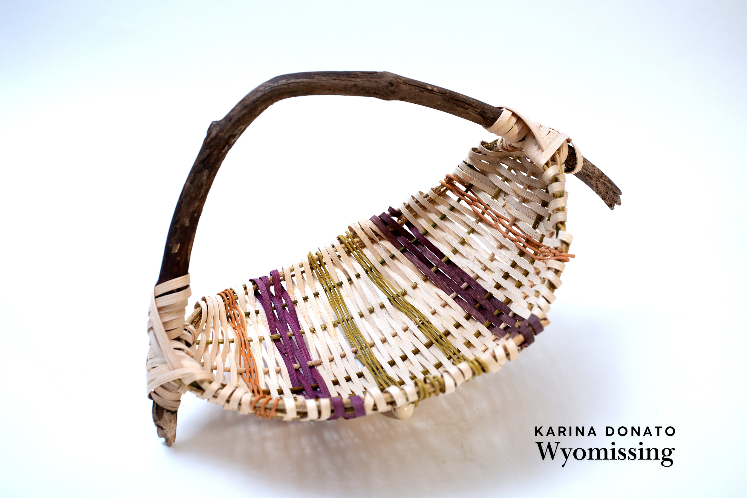 RESIZED_Karina Donato Wyomissing.png