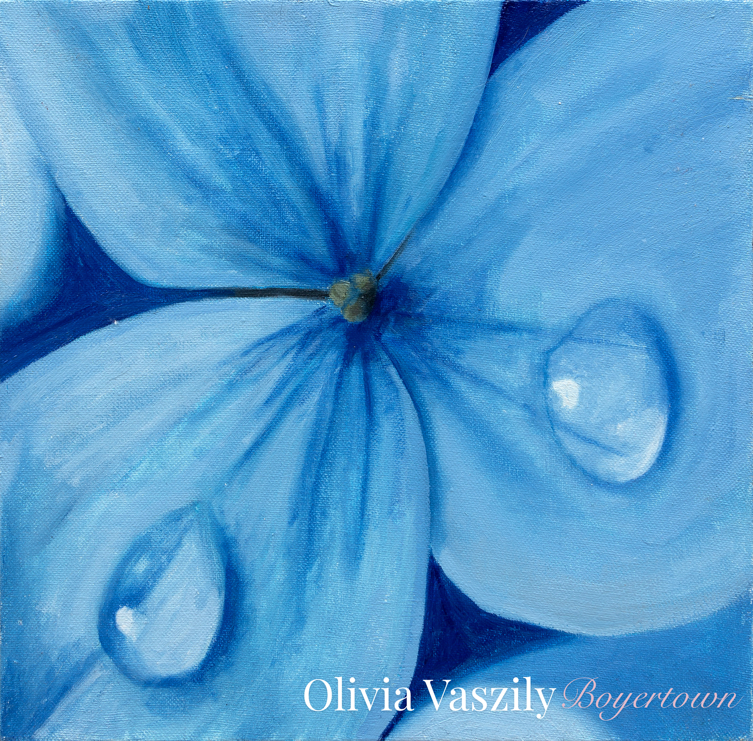 RESIZED_Olivia Vaszily BO.png