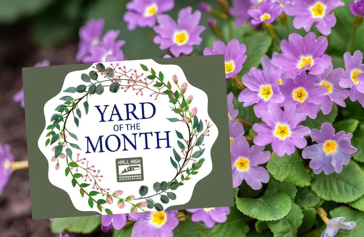 Yard of the Month - April 2026