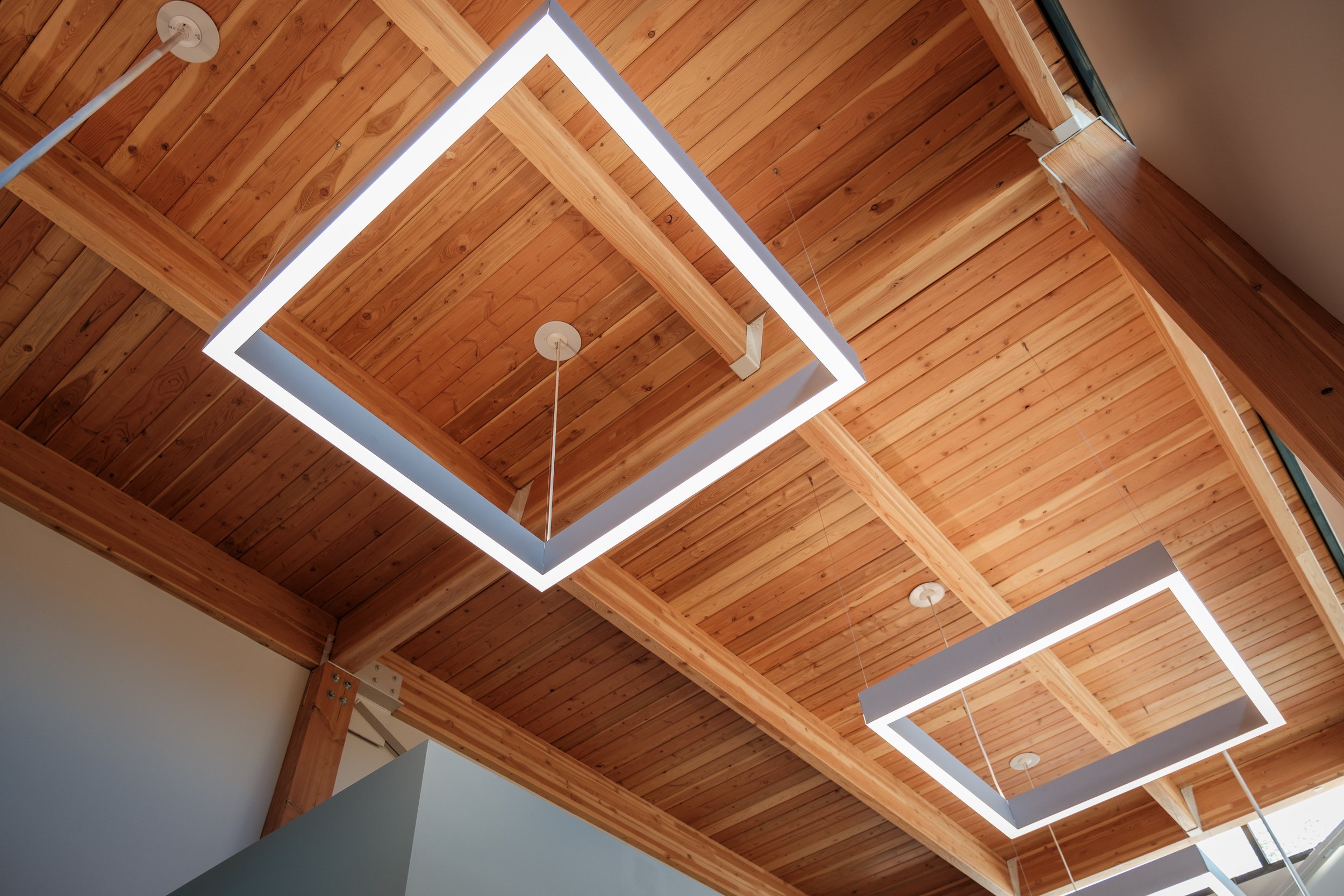 Evanston Animal Shelter - ceiling.jpg