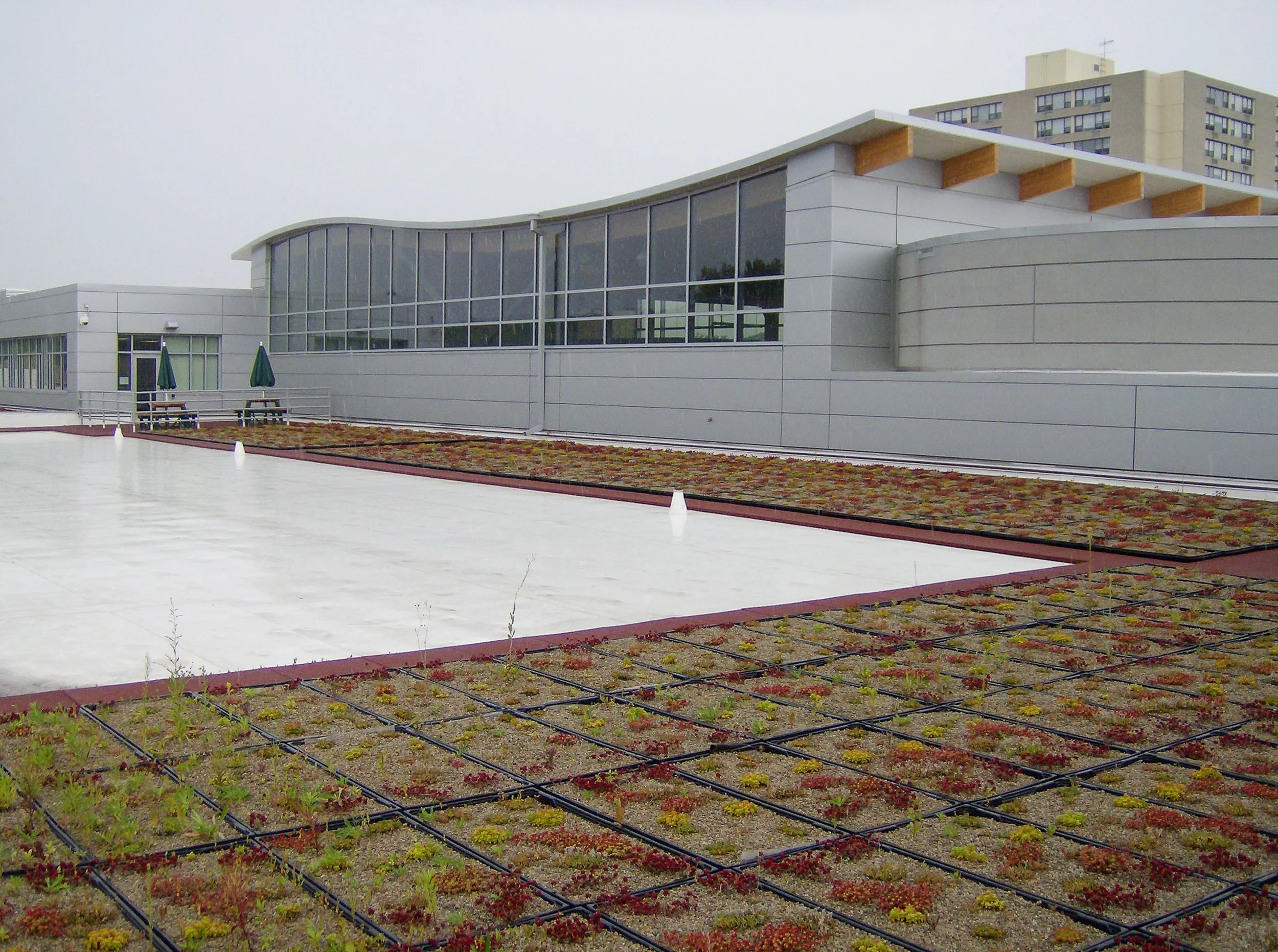 Oak Park Public Works - green roof.jpg