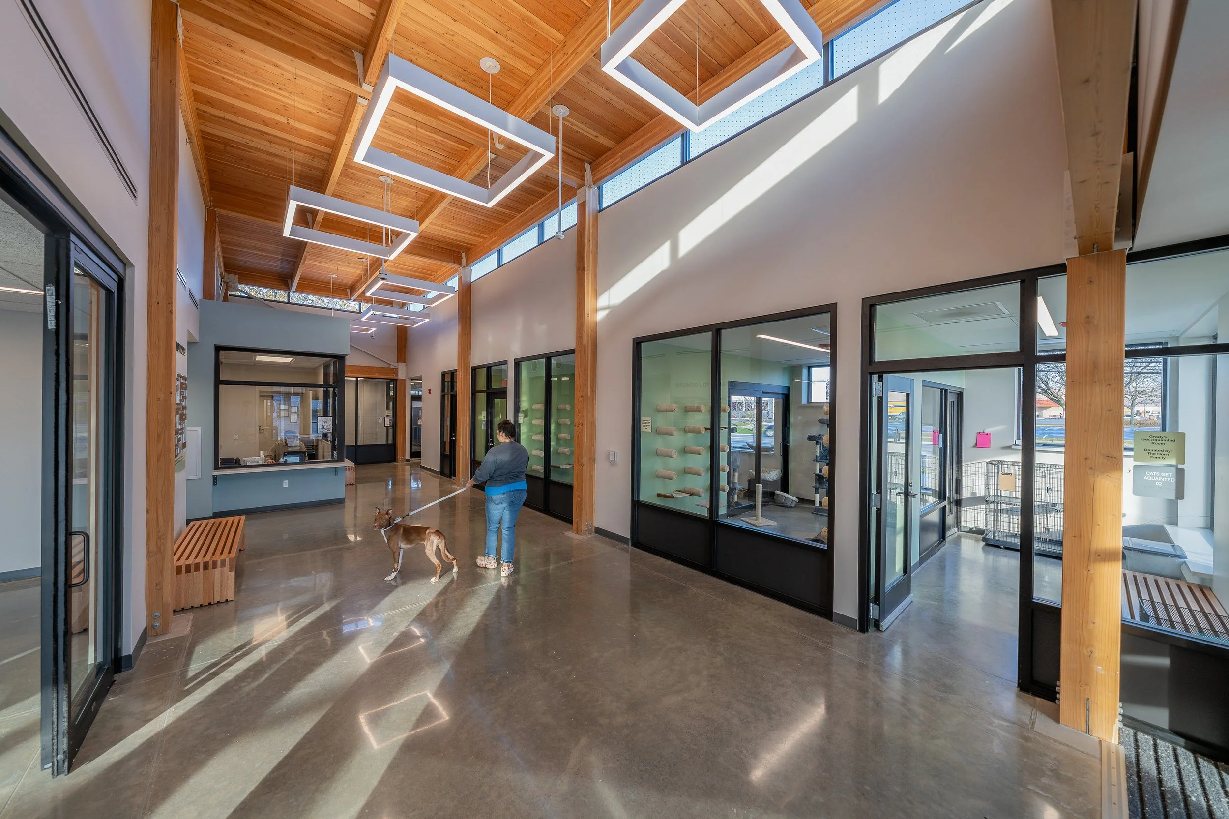 Evanston Animal Shelter int .jpg