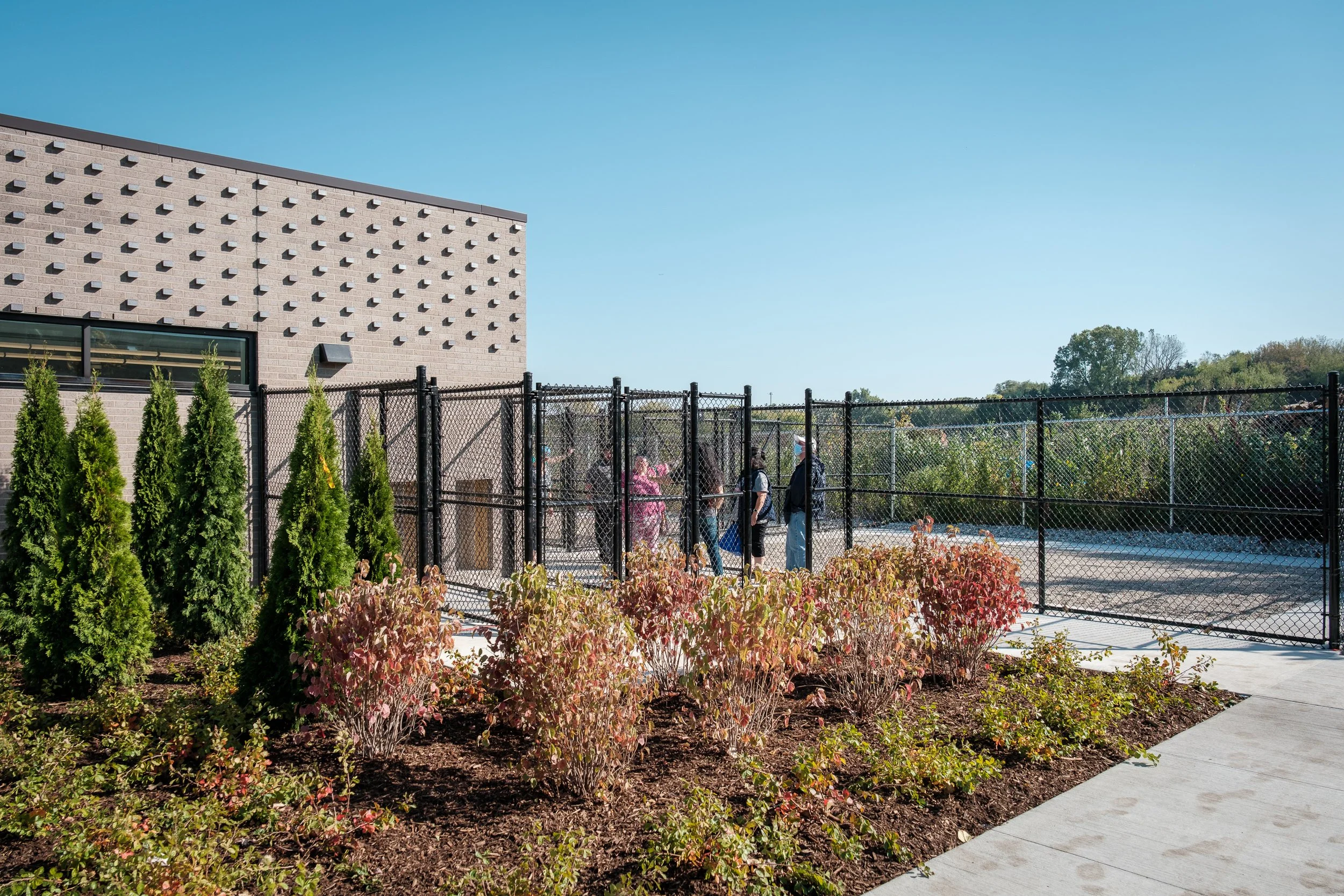 Evanston Animal Shelter playyard.jpg