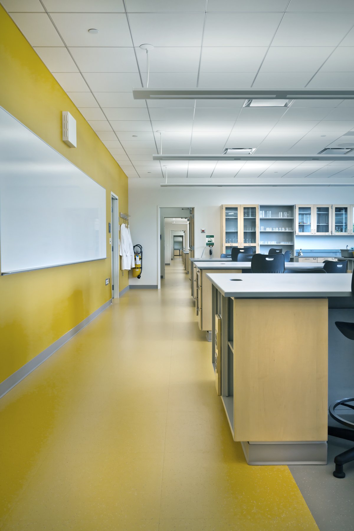 Breck Lab Space.jpg