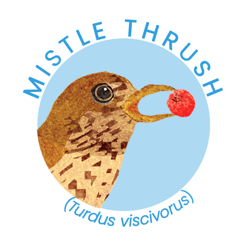 Mistle thrush.png