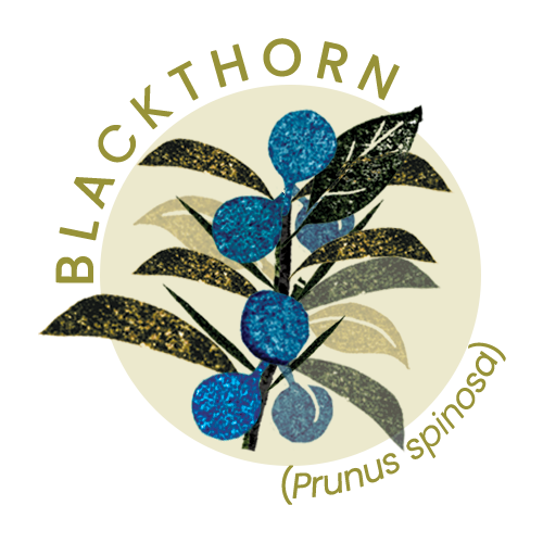 Blackthorn.png