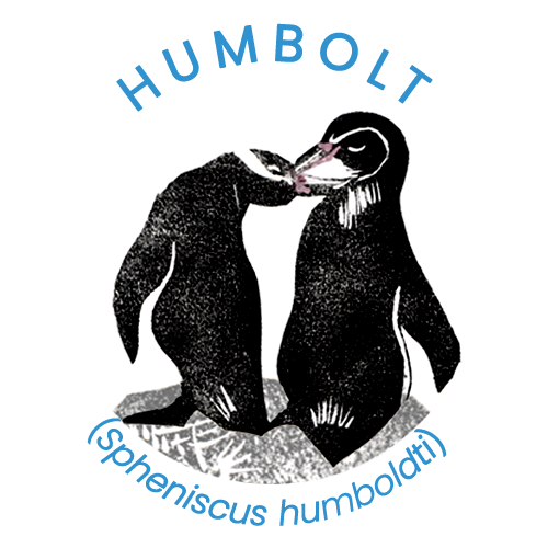 humbolt penguin.png
