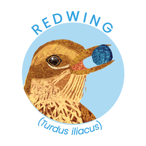 Redwing.png