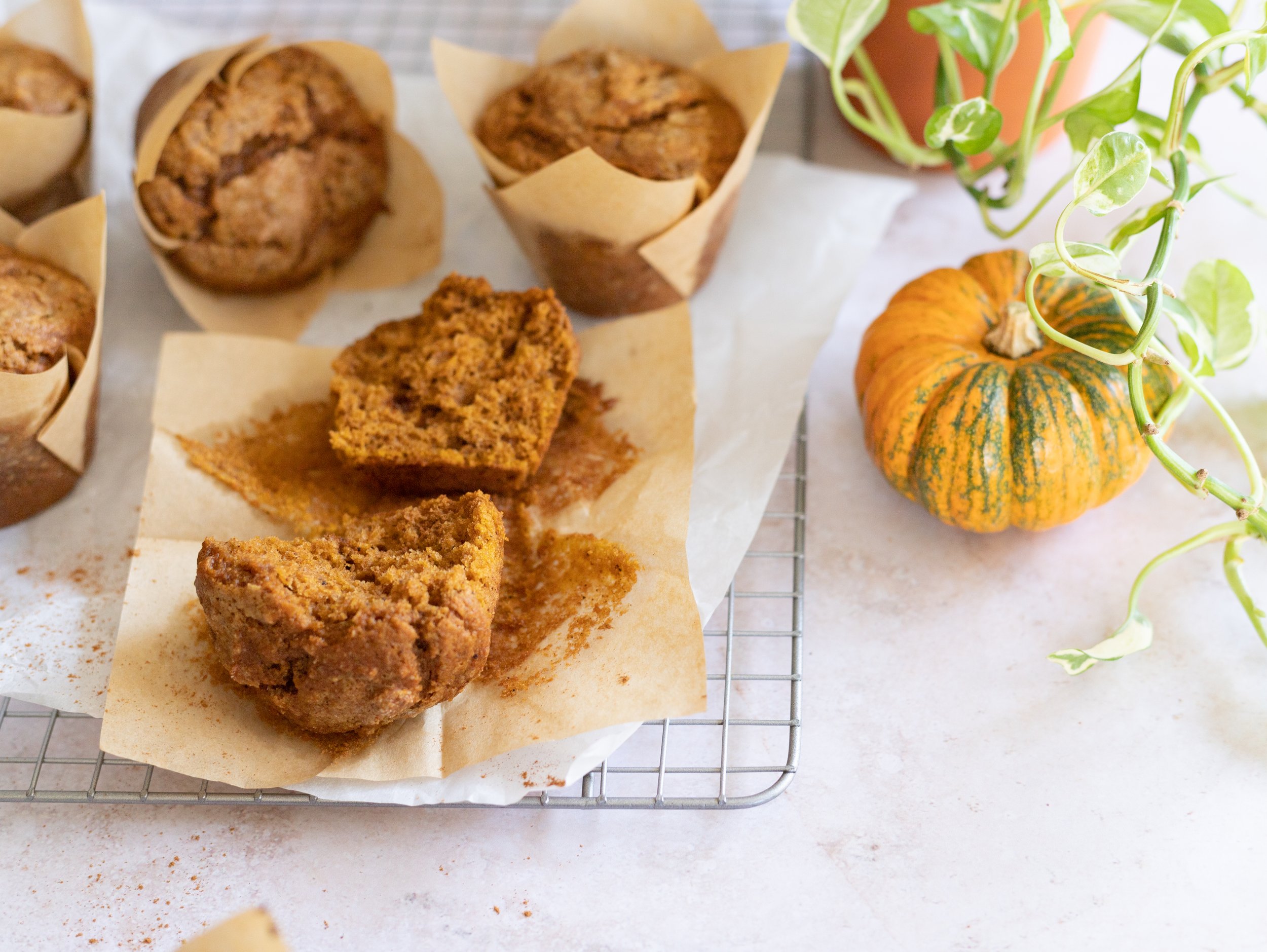 pumpkin maple muffins