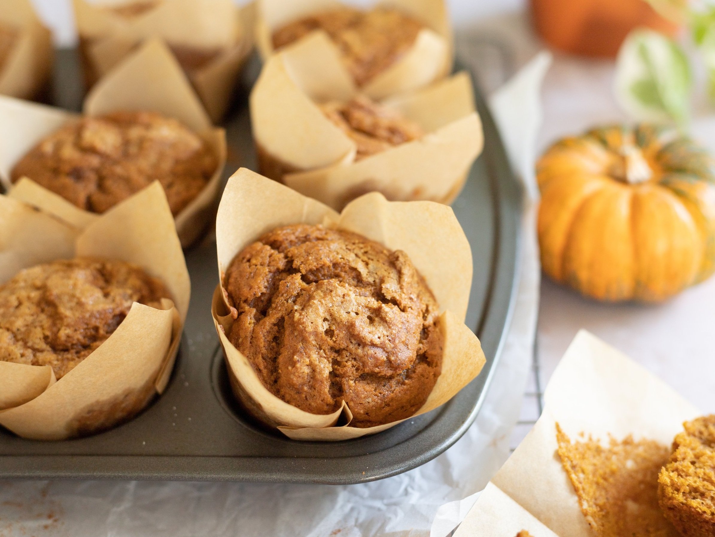 pumpkin. maple muffins