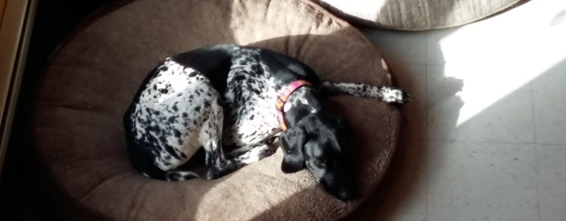 20180320_100559_0202064383b1251869b8ea29dbbe19b6-e62a6ad2caaf7039149c46676b95632a (1).jpg