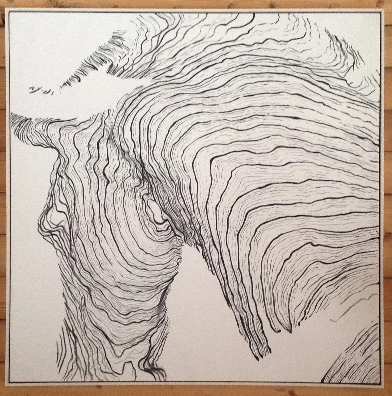 Topography of a Bronze Horse, 2006 (Ink)