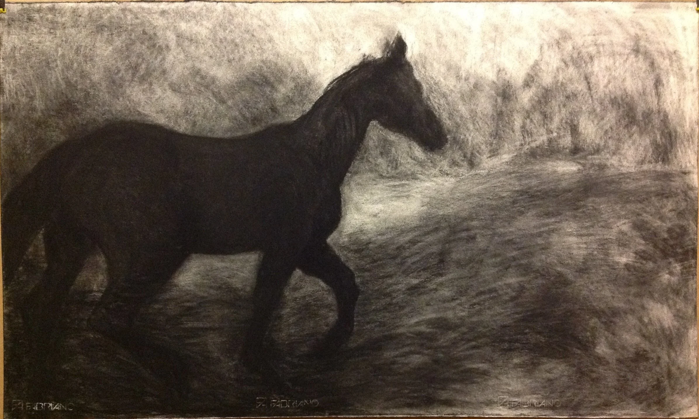 Horse Series 4, 2006 (Charcoal)
