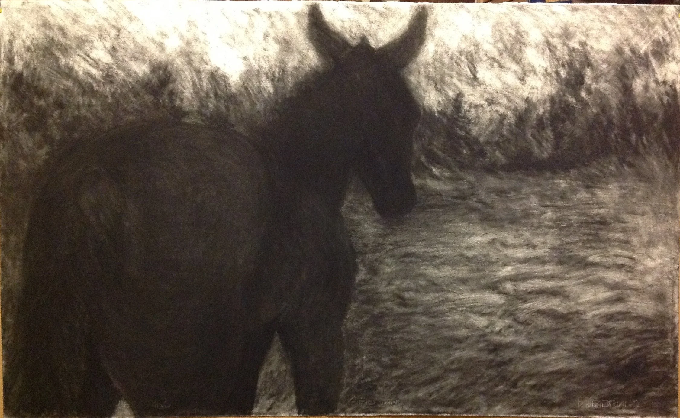 Horse Series 2, 2006 (Charcoal)