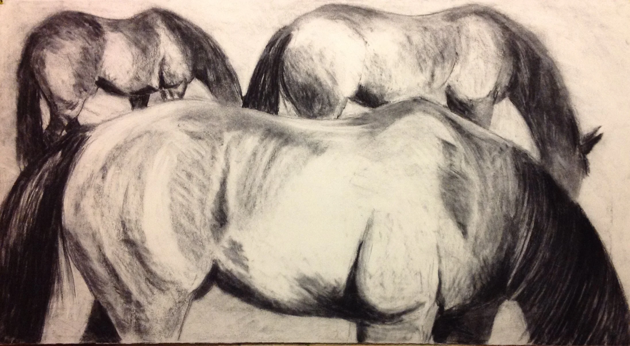 Hills, 2006 (Charcoal)