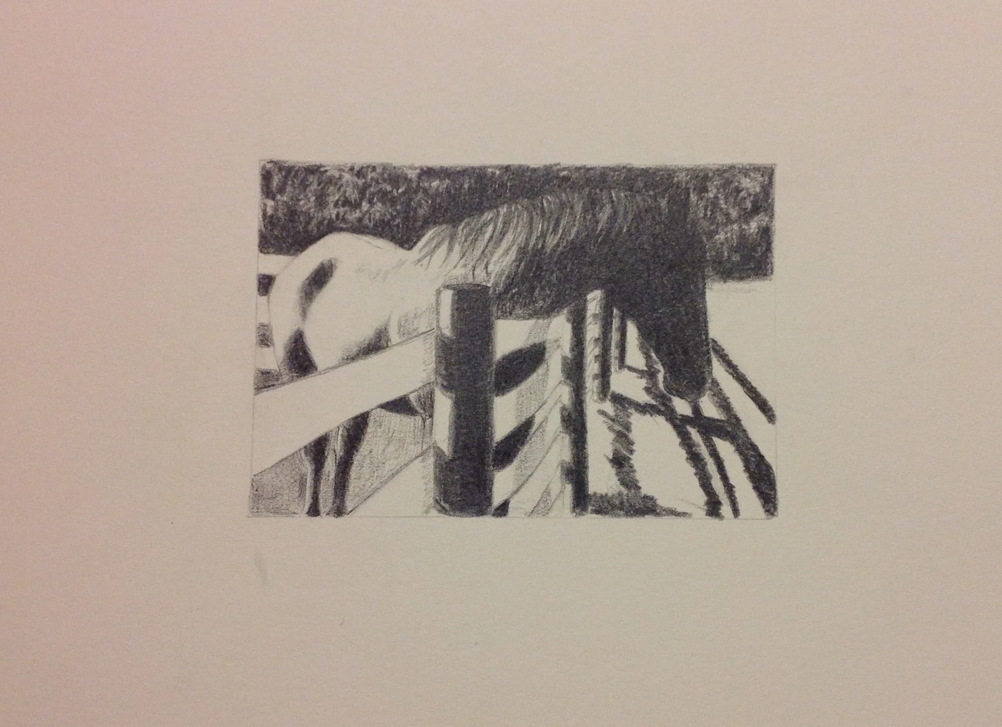 Light of Day, 2006 (Charcoal)