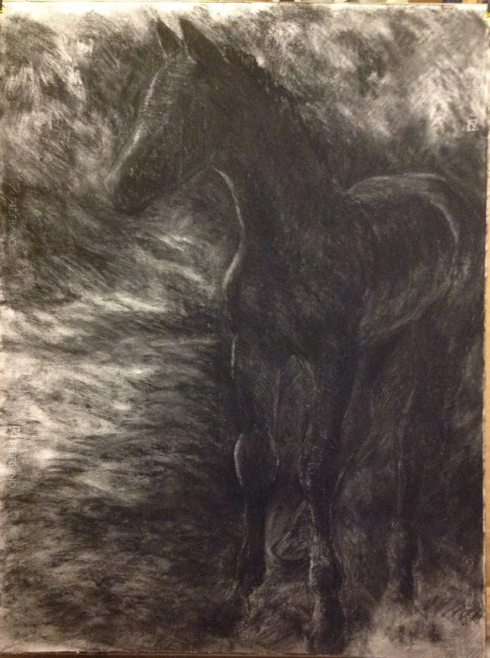 Whistlejack, 2006 (Charcoal)