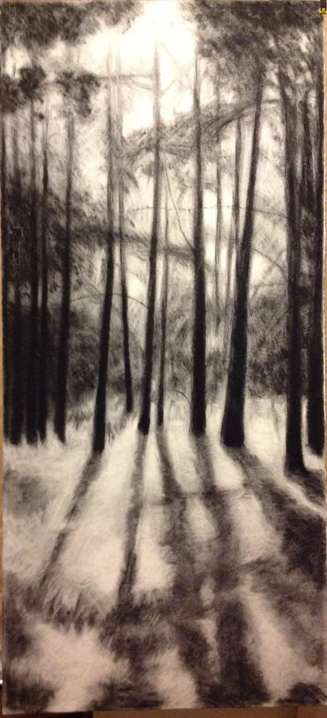 Morning Light, 2013 (Charcoal)