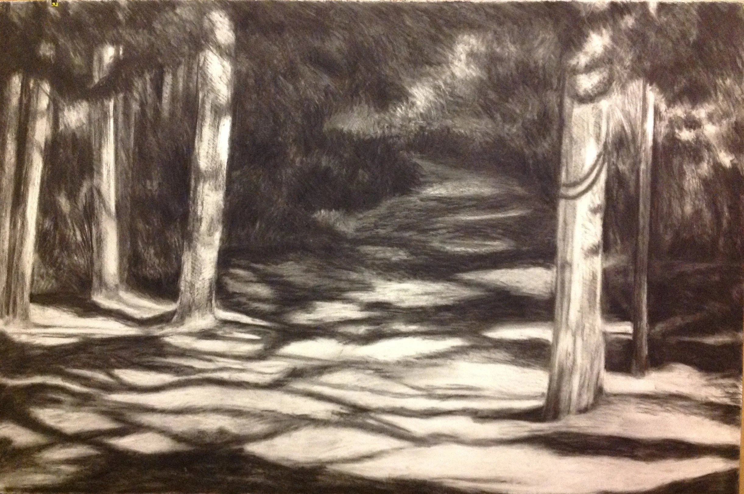 The Path, 2013 (Charcoal)