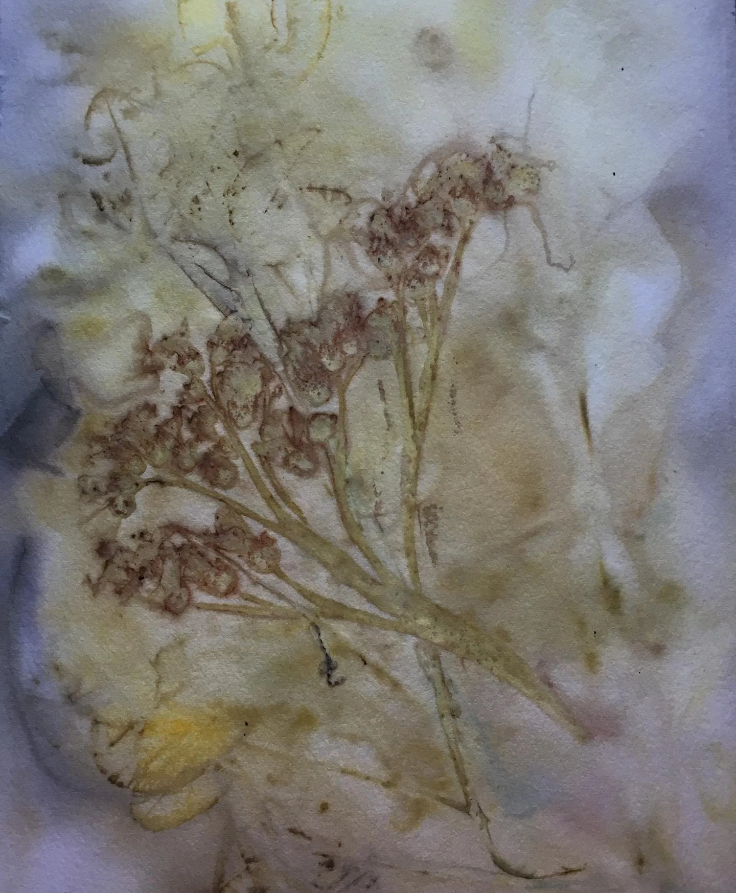 Sun Print, 2020 (Mixed Media)