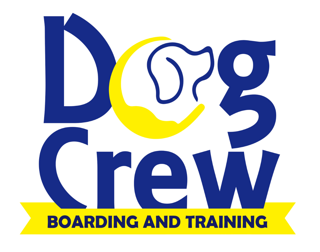 Dog Crew | Tampa Dog Training and Boarding