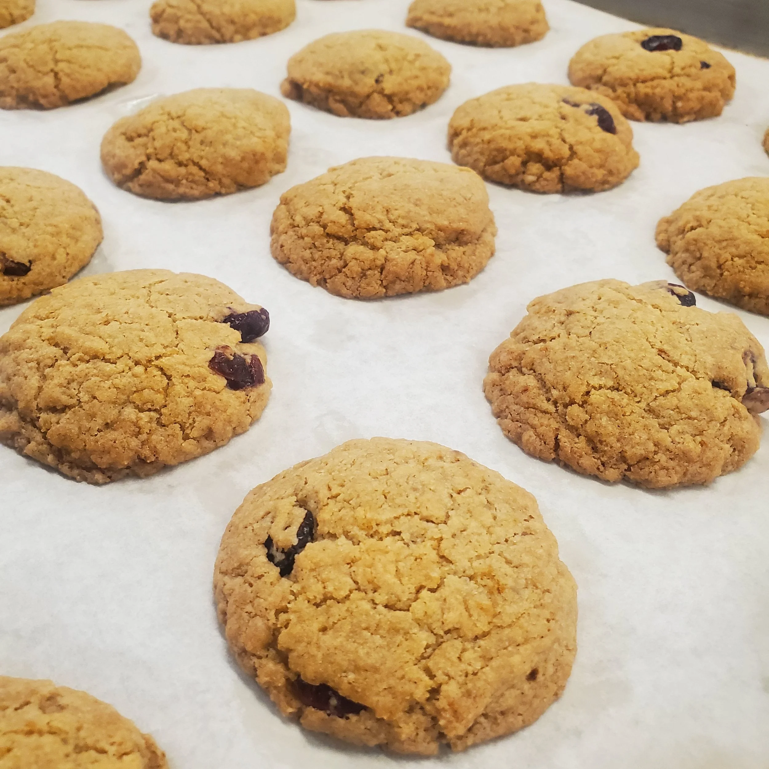 Cranberry Orange.jpg