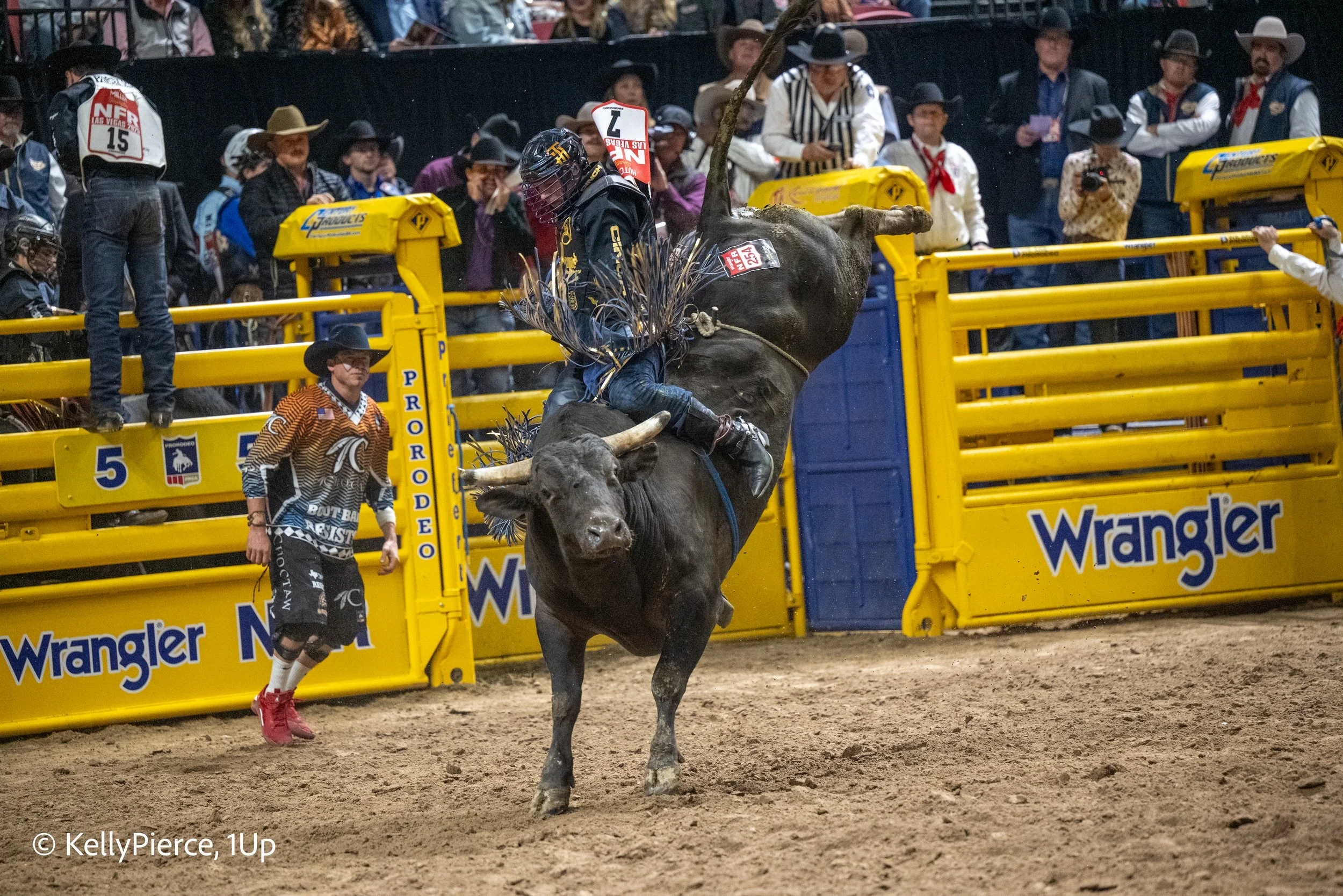 A rodeo scene featuring a bull rider in a black helmet and protective gear holding onto a bucking bull inside a yellow-colored rodeo fence with branding, while spectators in cowboy hats and western attire watch from the background.