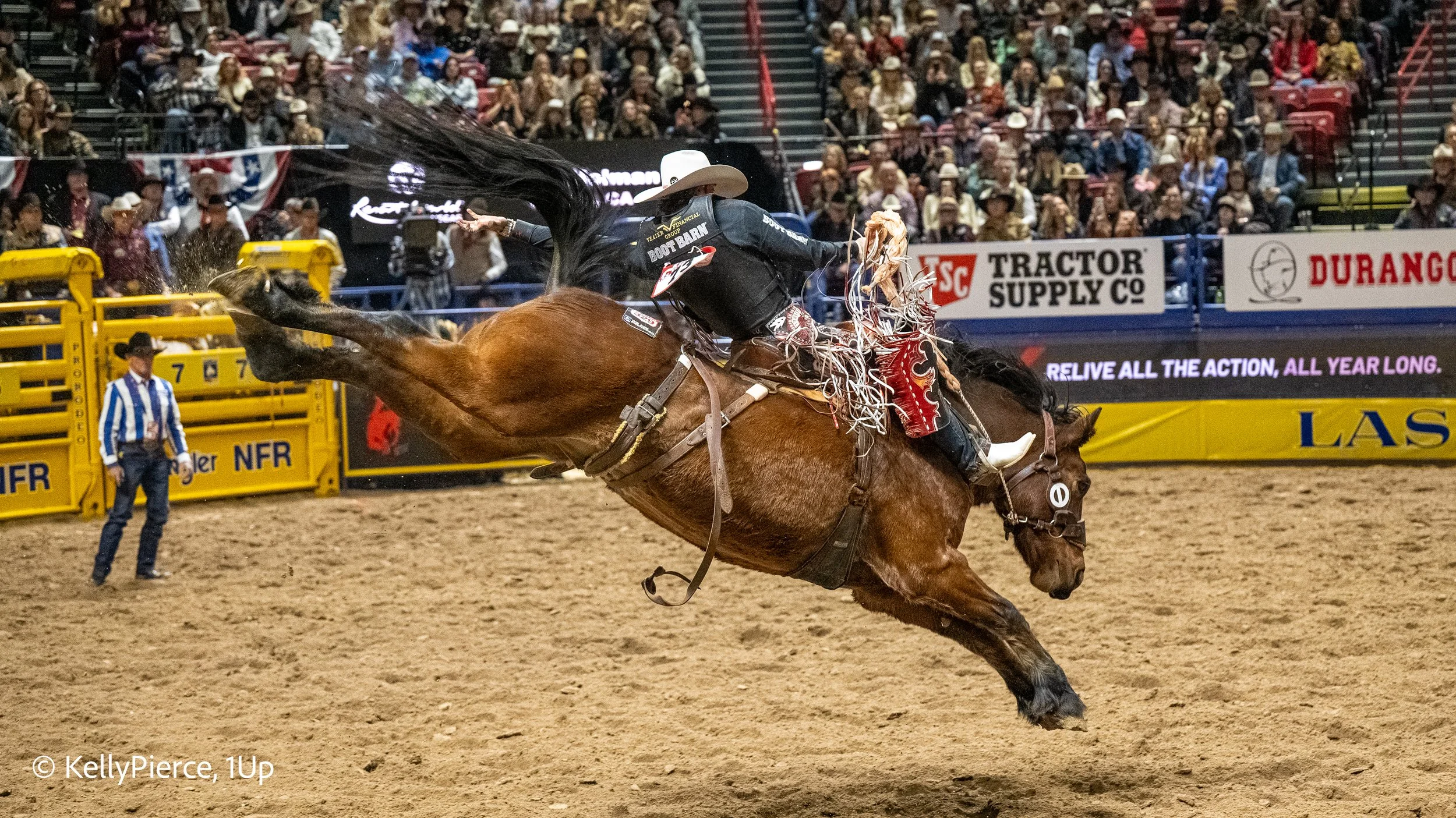 A cowboy riding a bucking horse during a rodeo, with a large audience in the stands and various advertisements around the arena.