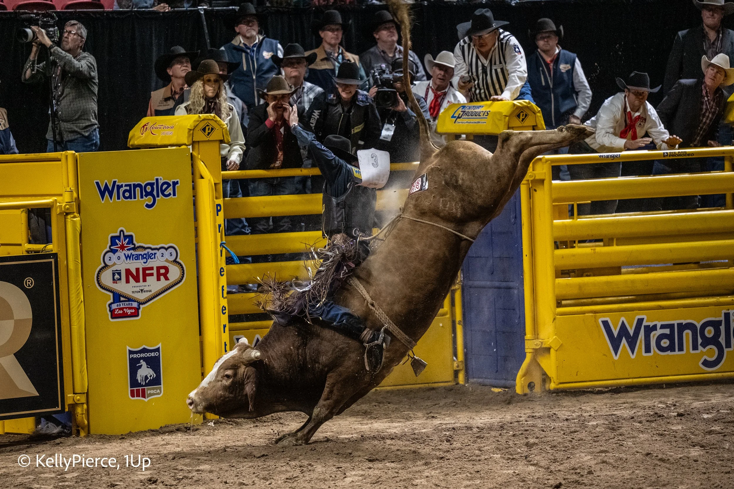 A bucking bronco horse rearing up inside a rodeo arena surrounded by yellow fences and spectators in cowboy hats watching the event.