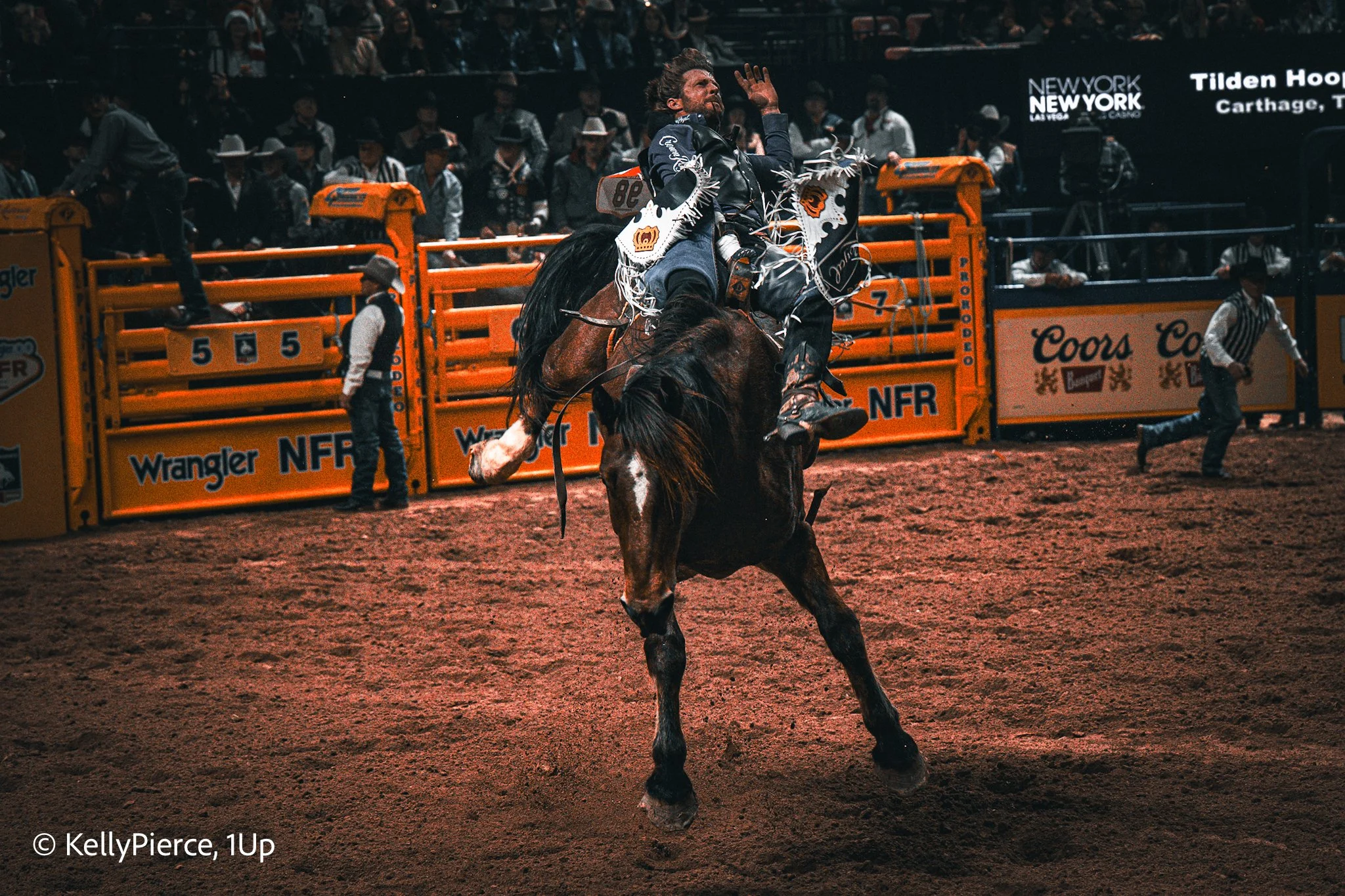 A cowboy riding a bucking horse during a rodeo, with spectators and orange safety barriers in the background.