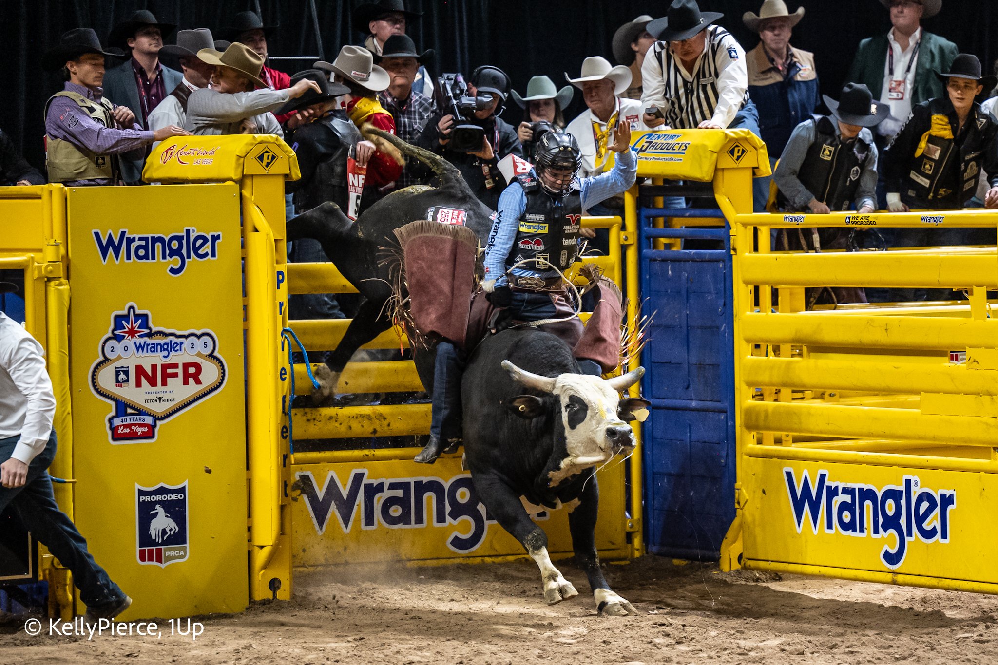 A cowboy riding a bucking bull during a rodeo event with spectators and officials watching behind a yellow fence.