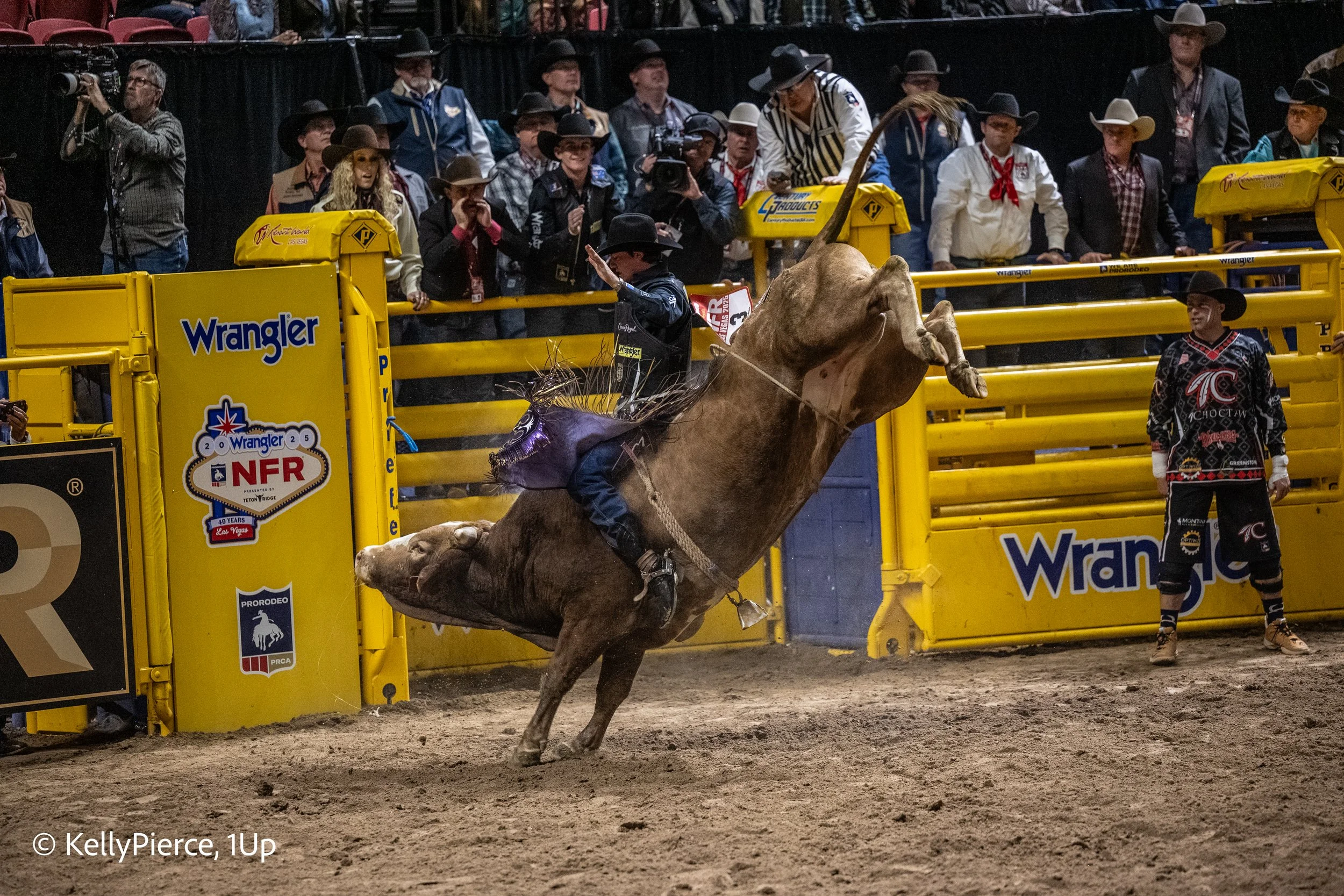 A rodeo scene with a bull rider on a bucking bull in an arena, spectators and photographers observing from behind yellow safety barriers, with various logos and advertisements visible on the barriers.