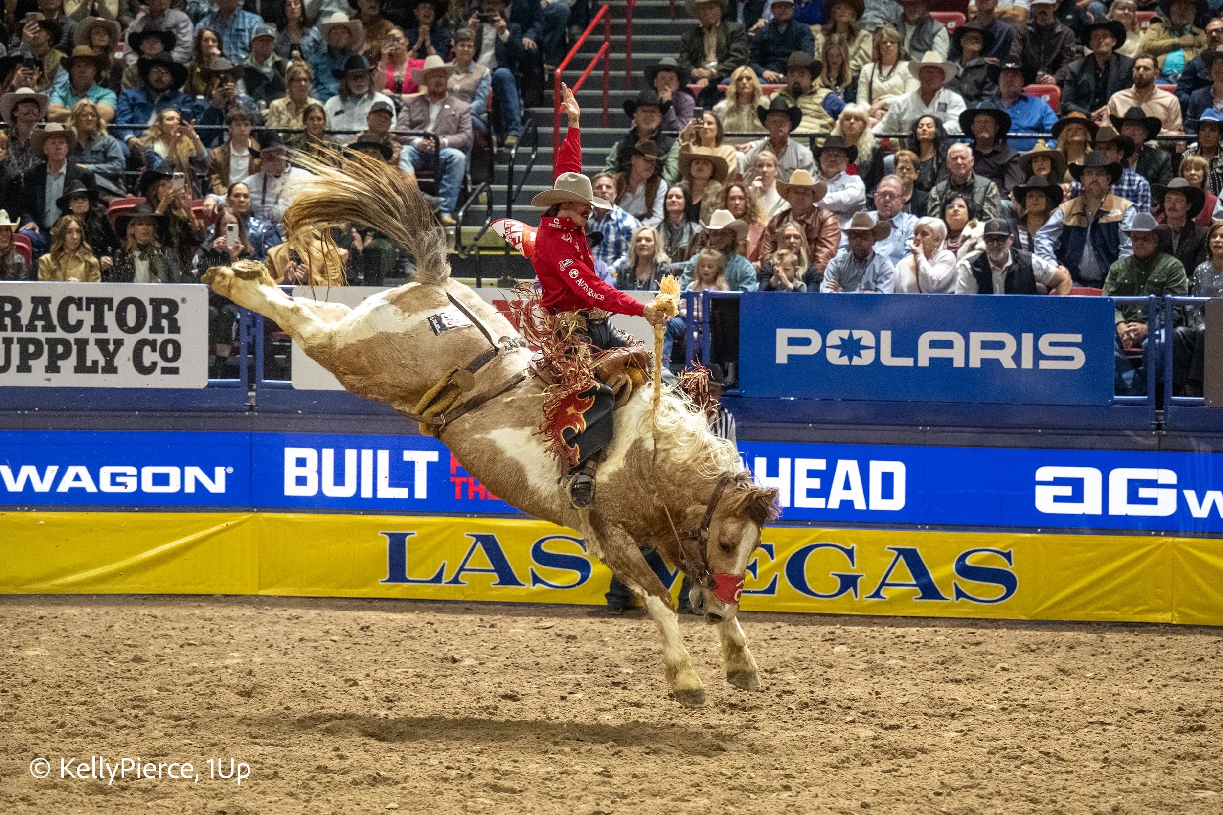 A cowboy riding a bucking horse during a rodeo event in Las Vegas, with a large audience watching from the stands.
