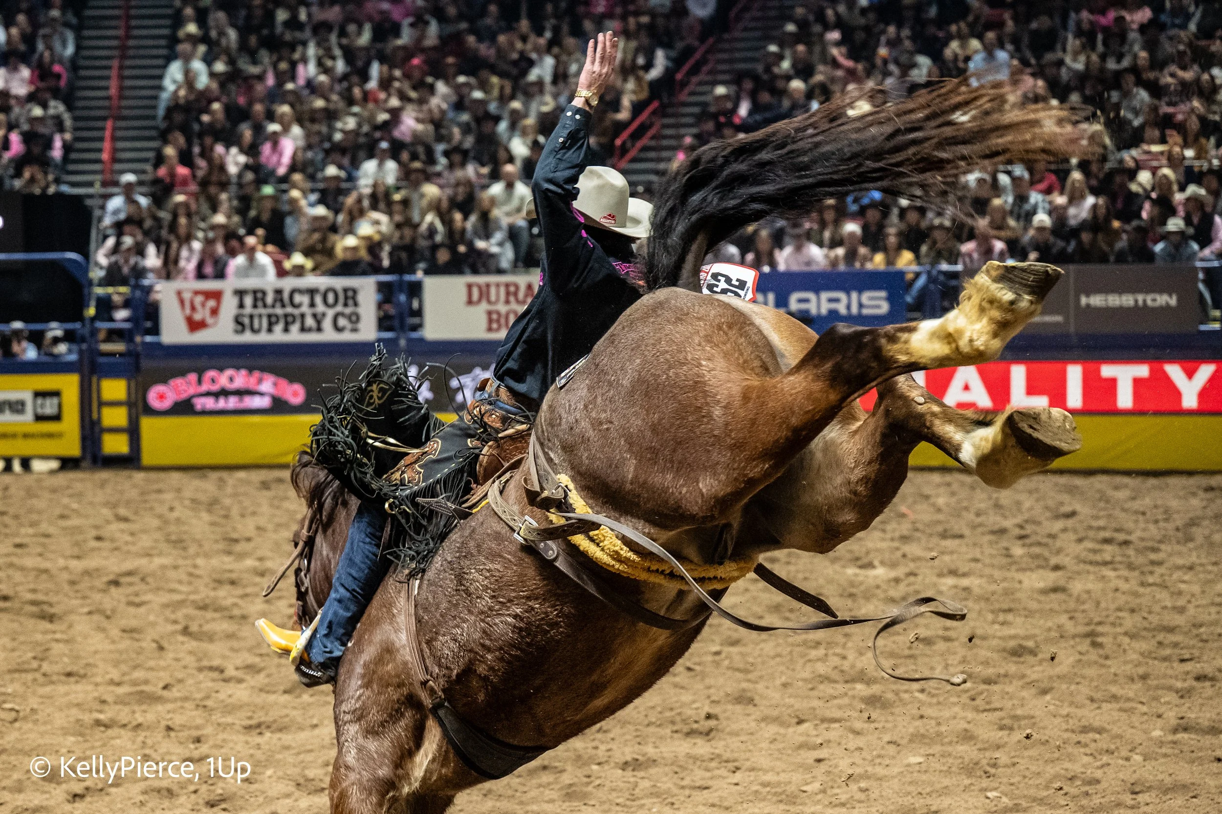 A cowboy wearing a wide-brimmed hat and black clothing rides a bucking horse in a rodeo arena filled with spectators.
