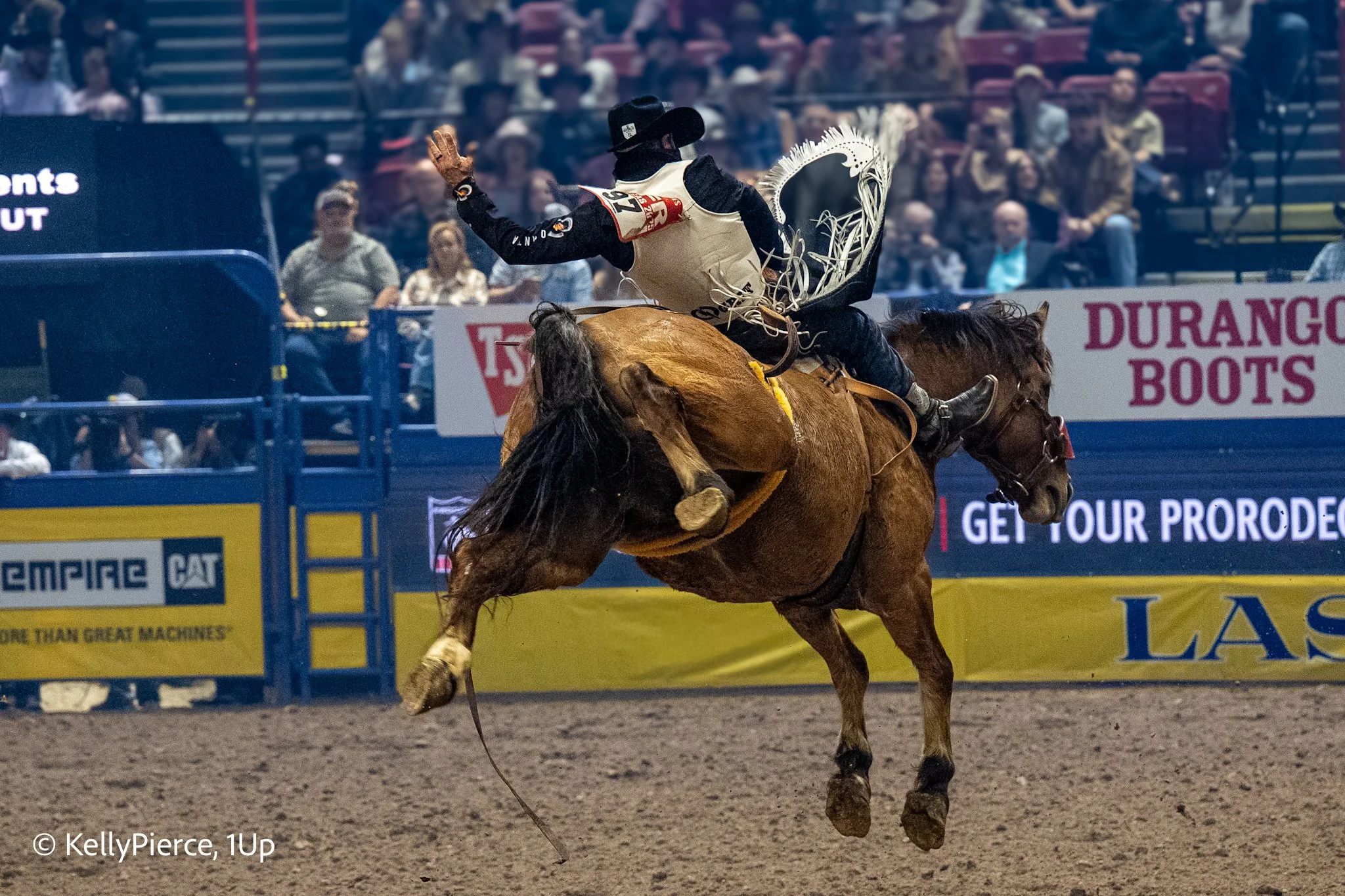 A cowboy riding a bucking bronco during a rodeo event, with an audience in the background and advertisements on the arena fencing.